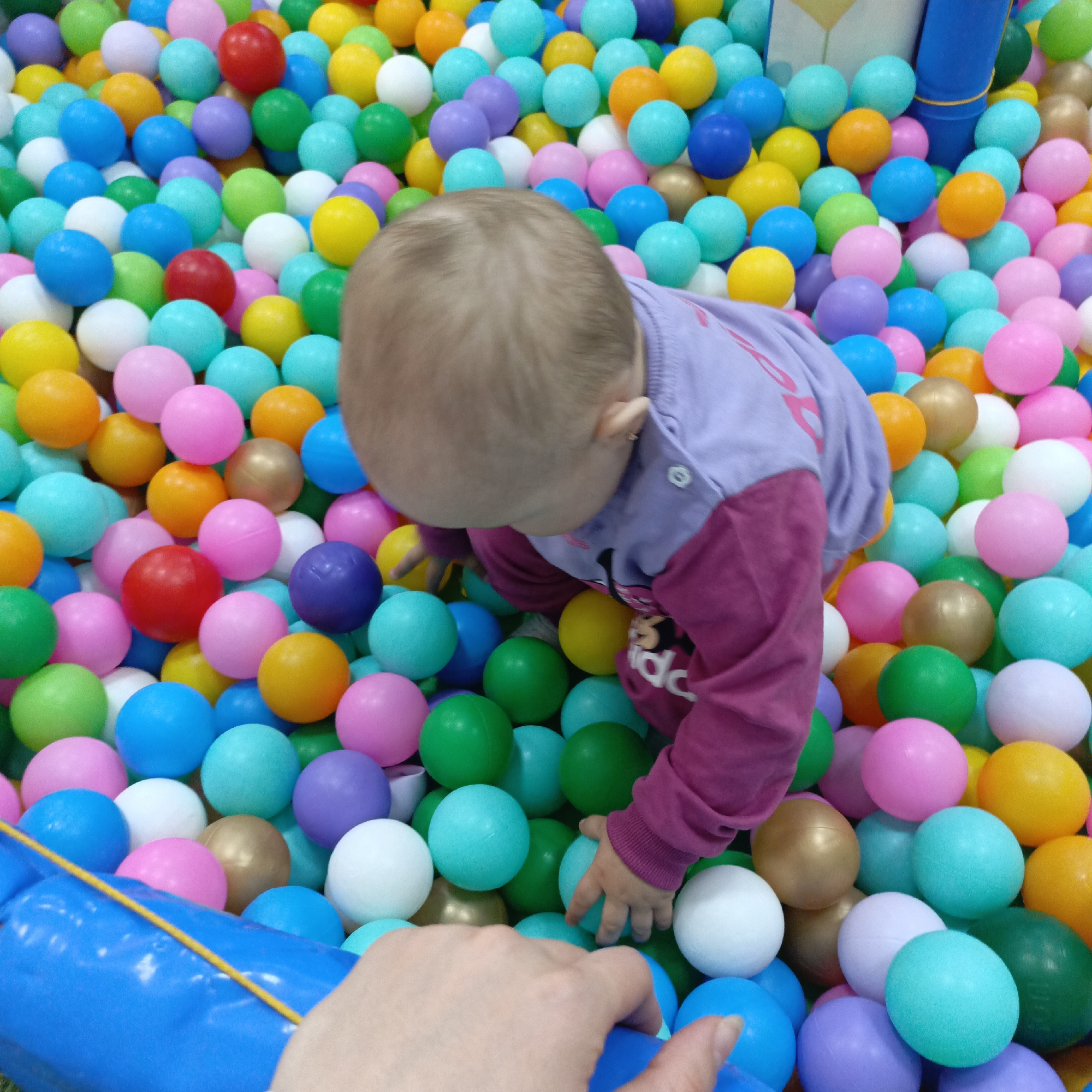 A top-down view captures a young child engrossed in a multi-colored ball pit, with an adult's hand partially visible in the foreground.
The central subject is a baby, seen from above and slightly behind, with light brown hair. The child is wearing a purple long-sleeved top with a pink or maroon section extending down the arms and torso. Faint white text or a design is visible on the purple part of the shirt, but it is not legible. The child's left ear is visible, adorned with a small earring. The baby is positioned on hands and knees, leaning forward, actively reaching into the colorful plastic balls with their right hand.
The ball pit is densely packed with numerous spherical plastic balls in a vibrant array of colors including pink, blue, green, yellow, orange, white, purple, red, and some metallic gold ones. The balls fill the entire frame, creating a lively and engaging environment. A blue padded edge or wall of the ball pit is visible in the lower left corner, along with a yellow strap or string running across it.
An adult's hand, with light skin tone and short fingernails, is visible in the lower left foreground, resting on the blue edge of the ball pit, suggesting interaction or supervision of the child. The scene depicts a playful moment, likely indoors at a play area or a home setup. There are no other discernible location cues or specific time of day indications.