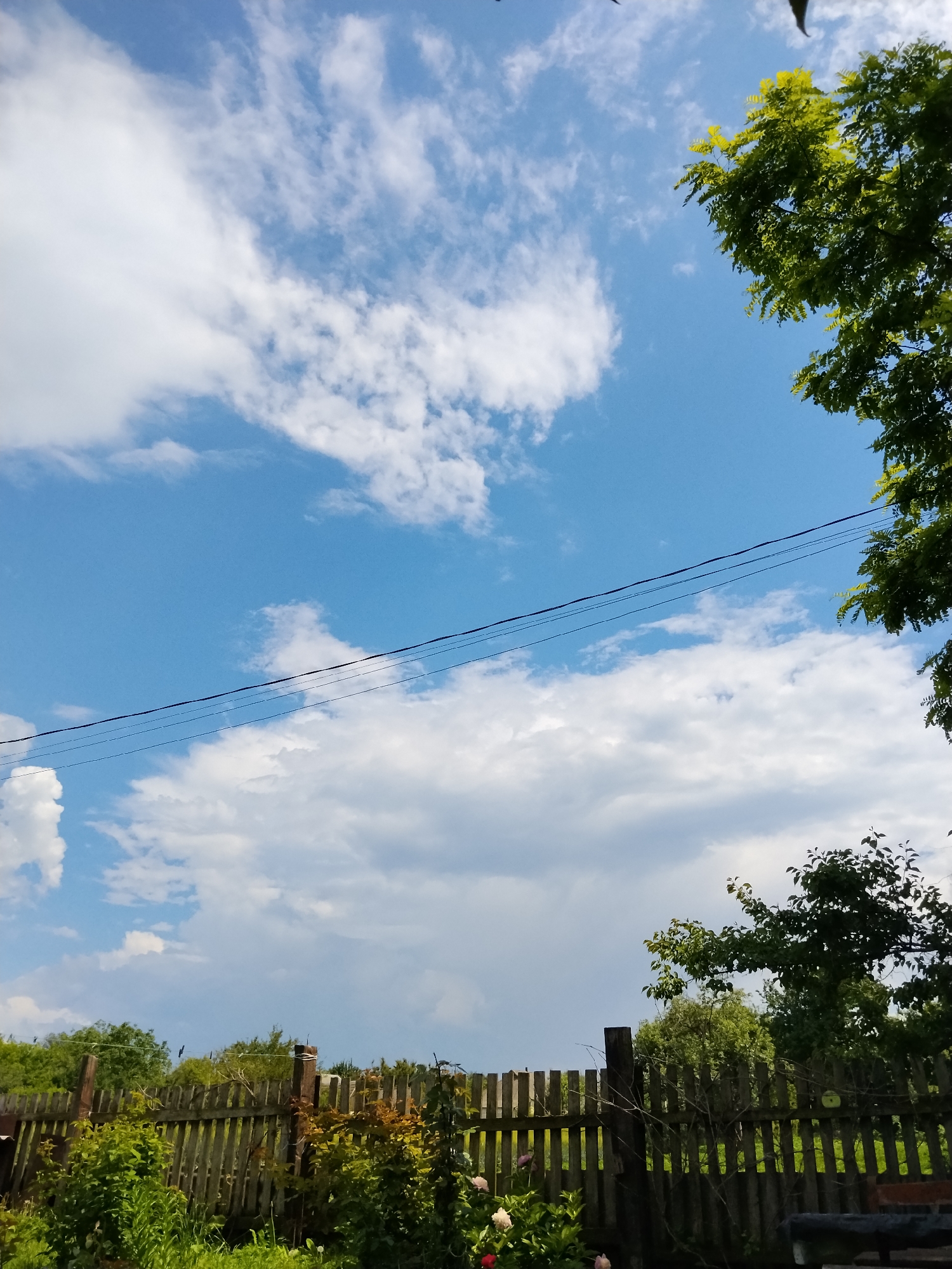 This image depicts a clear blue sky with scattered white clouds, as seen from a rural location. In the foreground, there is a weathered wooden picket fence that runs horizontally across the frame, partially obscured by lush green foliage and some blooming pink and white flowers. Behind the fence, a line of trees forms a dense green backdrop. Overhead, thin black wires are stretched across the sky. The location is identified as Dibrivka, Ukraine. The scene is peaceful and suggestive of a summer day.
