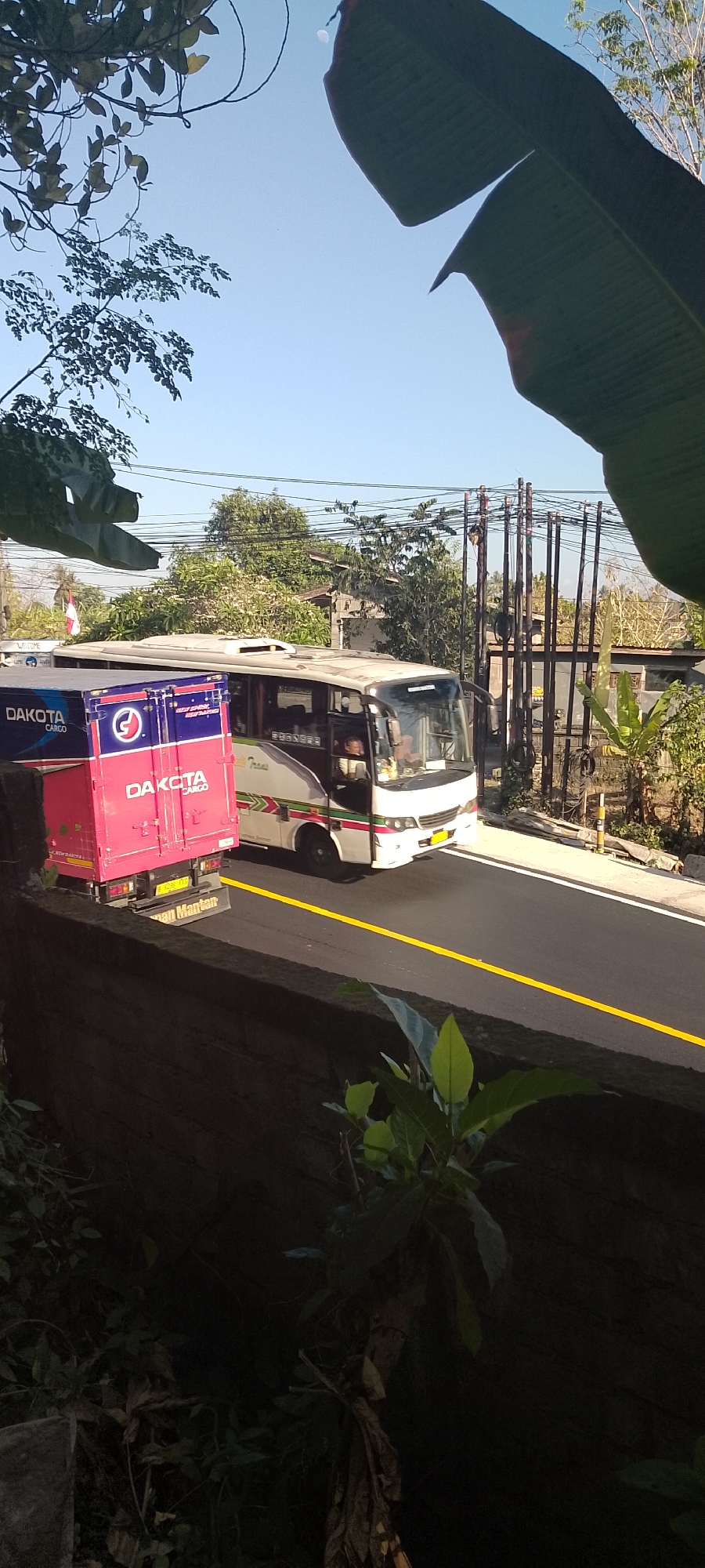 In Pekutatan, Indonesia, a bus and a red truck are on a paved road under a clear blue sky. The bus, white with green and red accents, is moving forward, its front bumper visible. A truck with "DAKOTA CARGO" branding on its side is beside the bus, also on the road. The truck has a license plate that reads "F 9391 VZA". Trees and foliage surround the road, and utility poles with many wires are present in the background. In the foreground, a dark, textured wall or embankment is covered with green leaves and vines. The overall scene depicts a typical day on a road in a tropical environment.