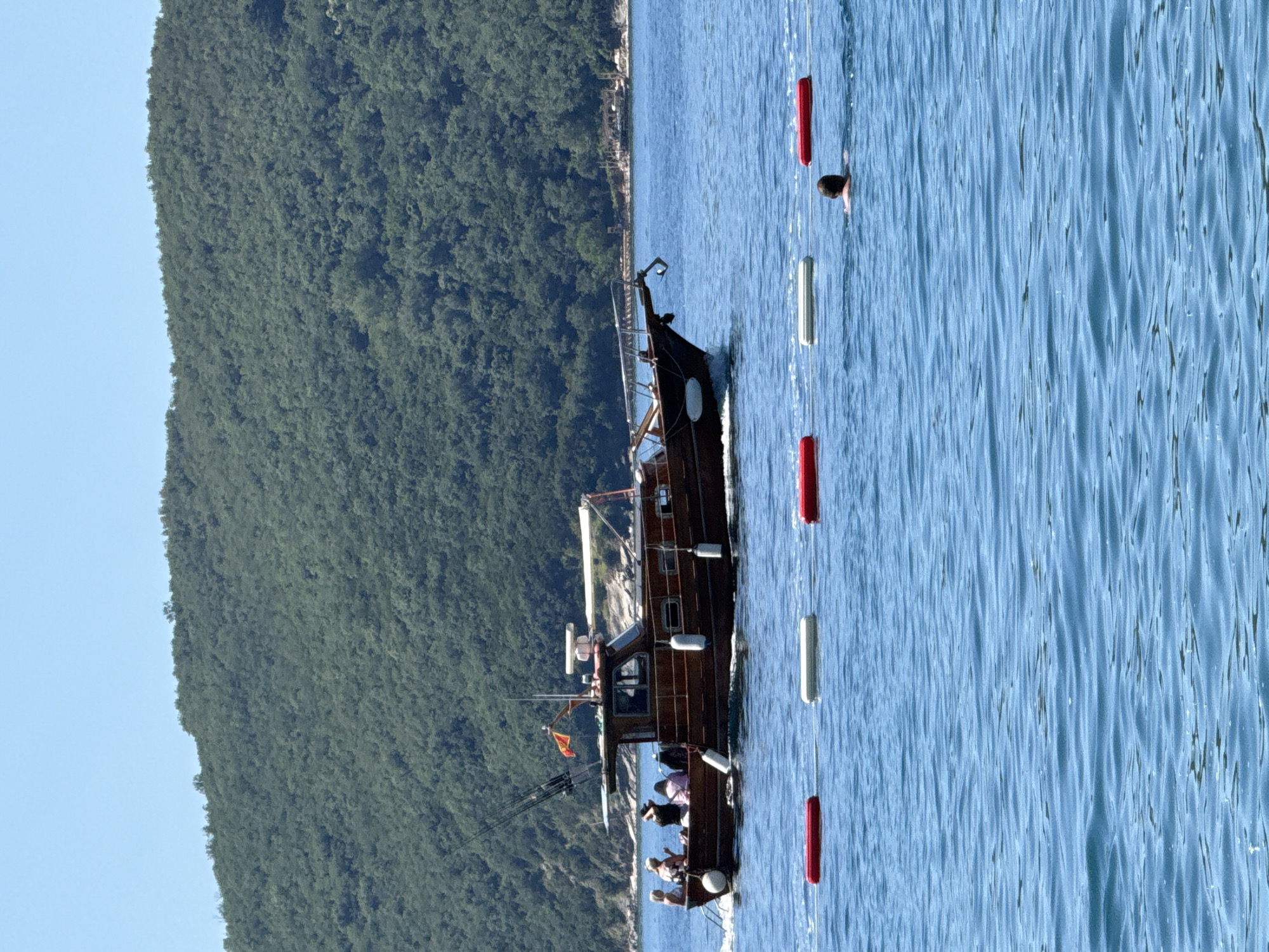 This image depicts a coastal scene in Boreti, Montenegro, under clear daytime conditions. A dark brown wooden motorboat, approximately 10-12 meters in length, is in motion across the mid-ground, moving from left to right, creating a visible wake. The boat features an enclosed cabin forward, an open aft deck, and several white cylindrical fenders suspended along its sides. Fishing rods are mounted on the stern, and a small flag with red and yellow colors is visible on a mast. A radar dome is positioned on the cabin roof. The boat's bow includes a distinct, stylized decorative element.
Approximately 5-6 individuals are visible on the aft deck of the boat, appearing as passengers. One individual on the far left has blonde hair, and another near the center wears a hat. Their specific activities are not clearly discernible beyond being onboard.
In the foreground, a line of five floating buoys extends horizontally across the water: two red, one white, one red, and one white from left to right. To the right of the buoys, a lone swimmer is visible in the water, facing away from the viewer, with only the head and upper back exposed above the waterline.
The water is a clear, light blue with gentle ripples. The background is dominated by a steep, lush green mountain densely covered with deciduous trees, rising directly from the water's edge. The treeline forms an irregular contour against a clear, light blue sky. Faint structures are visible along the distant shoreline at the base of the mountain on the right side of the frame.