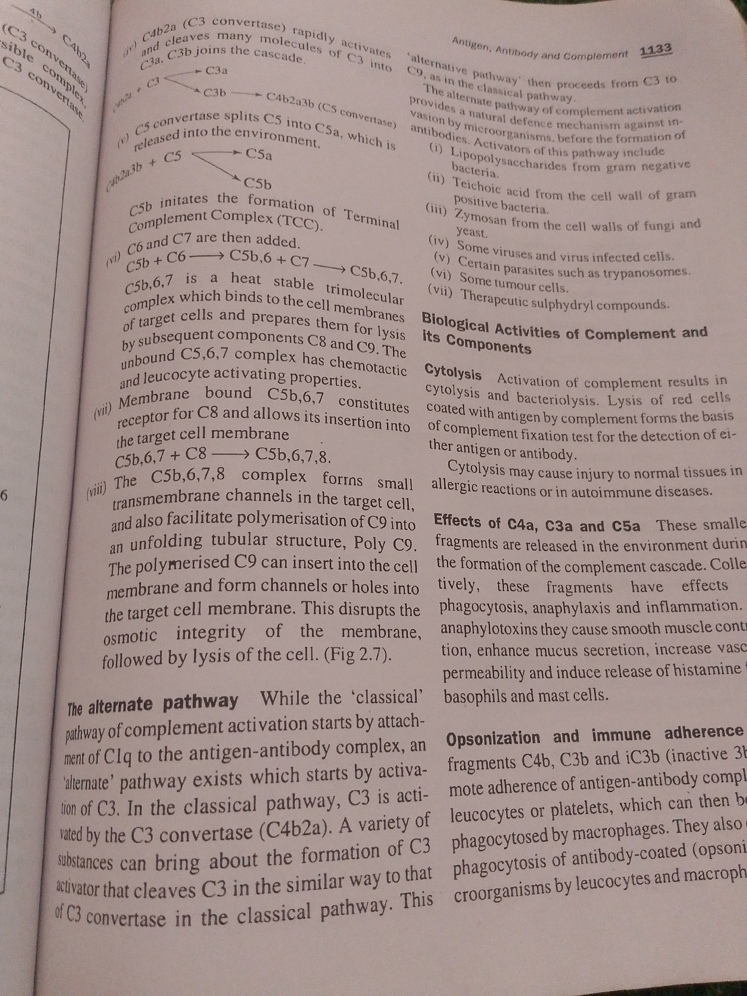 The image is a close-up of an open textbook, displaying a page filled with text and diagrams related to immunology, specifically the complement system. The subjects are the printed words and illustrations on the page. There are no people, objects beyond the book itself, or a discernible scene or setting in the conventional sense.
The activity taking place is the presentation of scientific information. The text discusses the classical and alternative pathways of complement activation, the formation of complement complexes like C3 convertase and C5 convertase, and the biological activities of complement components, such as cytolysis and opsonization. Diagrams illustrate the sequential steps of these pathways with chemical notations and arrows.
Notable details include the presence of a page number "1133" and chapter title "Antigen, Antibody and Complement" at the top of the right-hand page. The text also mentions specific biological entities like "gram negative bacteria," "fungi and yeast," "viruses," and "trypanosomes" as activators or targets. The diagrams show molecular interactions and transformations. There are no cues for time of day, weather, or emotions. The location context provided, Jalingo, Nigeria, is not visually inferable from the image.