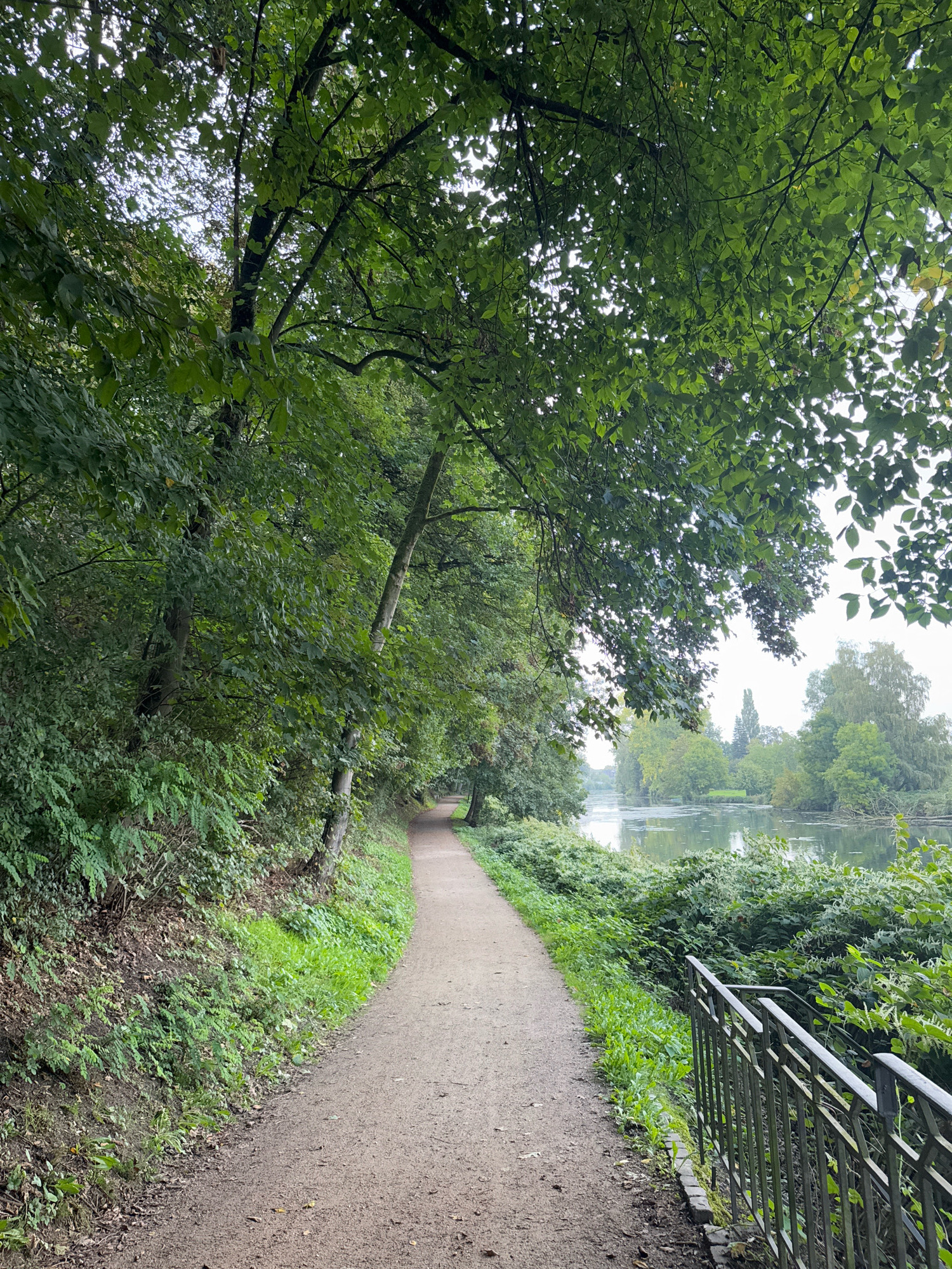 The image depicts a gravel path curving through a lush green park. On the left, dense foliage and trees create a canopy overhead, with sunlight filtering through the leaves. To the right of the path, a body of water, likely the Rhine river, is visible, bordered by more greenery and a metal railing. In the distance, trees line the opposite bank of the river. The scene suggests a serene and natural environment within the city of Cleves, Germany, possibly a walking trail along the river.