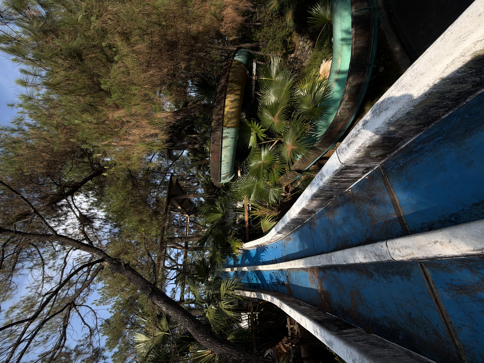 The image depicts an abandoned water park in Thủy Xuân Ward, Vietnam. Dominating the foreground is a blue water slide with white edges, its surface showing signs of weathering and staining. The slide is surrounded by lush, overgrown vegetation, including palm trees and pine trees, partially obscuring the slide's structure. Further in the background, one can see the rusty framework of a water slide tower and other decaying water slides, indicating the extent of the abandonment. The scene is bathed in sunlight, but the overgrowth creates shadows, contributing to the derelict atmosphere.