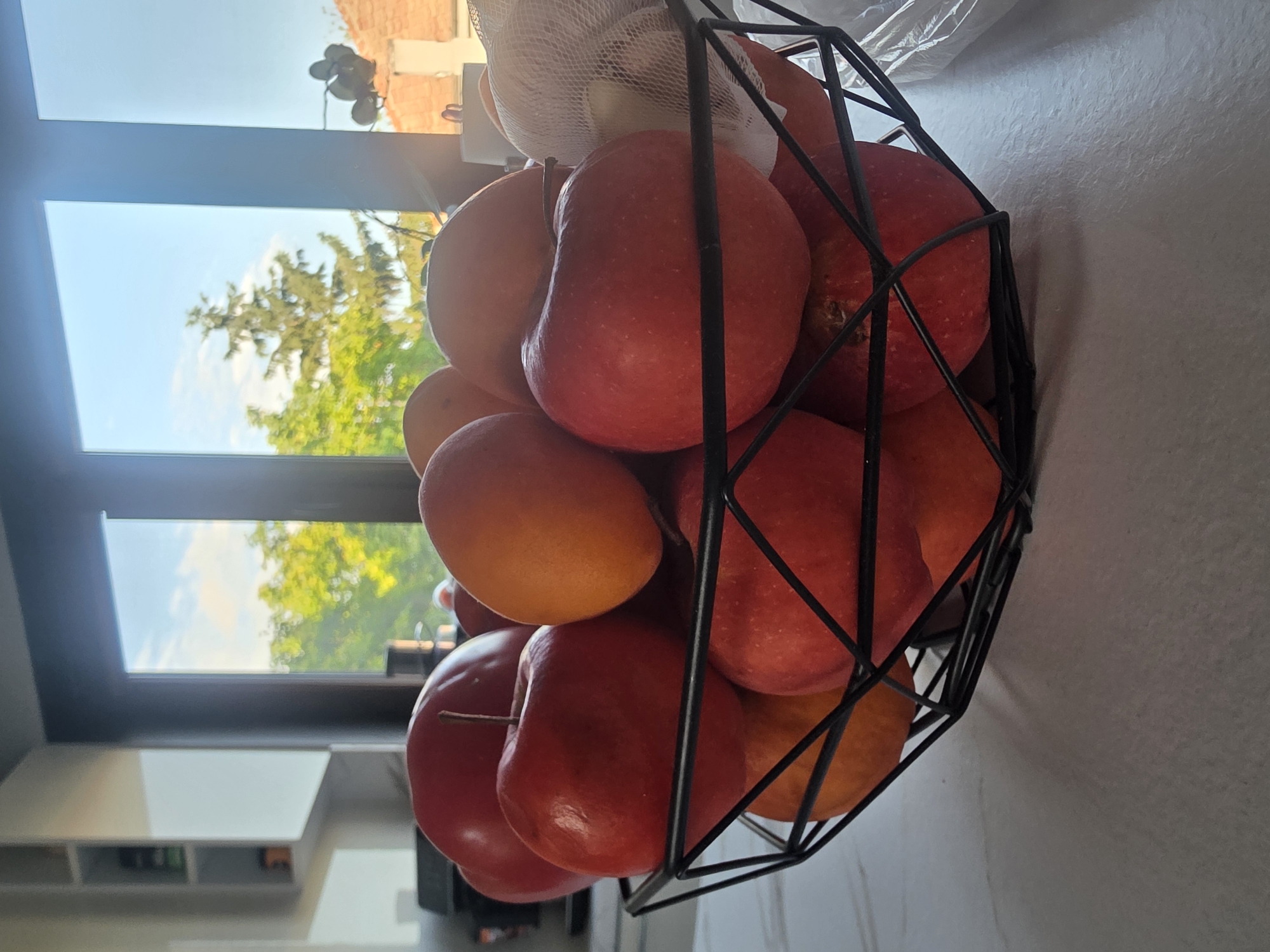 An indoor scene in Yagodovo, Bulgaria, captured during daylight hours, features a black, geometric metal fruit basket positioned centrally on a light-colored countertop. The basket contains multiple red apples, some displaying visible stems, and several orange-colored fruits. A white mesh bag, likely containing small, light-colored bulbs, is visible on the right side of the basket. The countertop exhibits a subtle, light-grey textured pattern. In the background, a large window reveals an outdoor environment. Through the window, a bright blue sky with scattered white clouds is visible above lush green foliage, including a prominent evergreen tree centrally located in the right pane. To the far right, a building with a reddish-brown tiled roof and a light-colored wall section is partially visible. To the left of the window, white wall-mounted shelves holding various containers are affixed to a light-colored wall. No individuals, explicit actions, or direct interactions are present in the image.