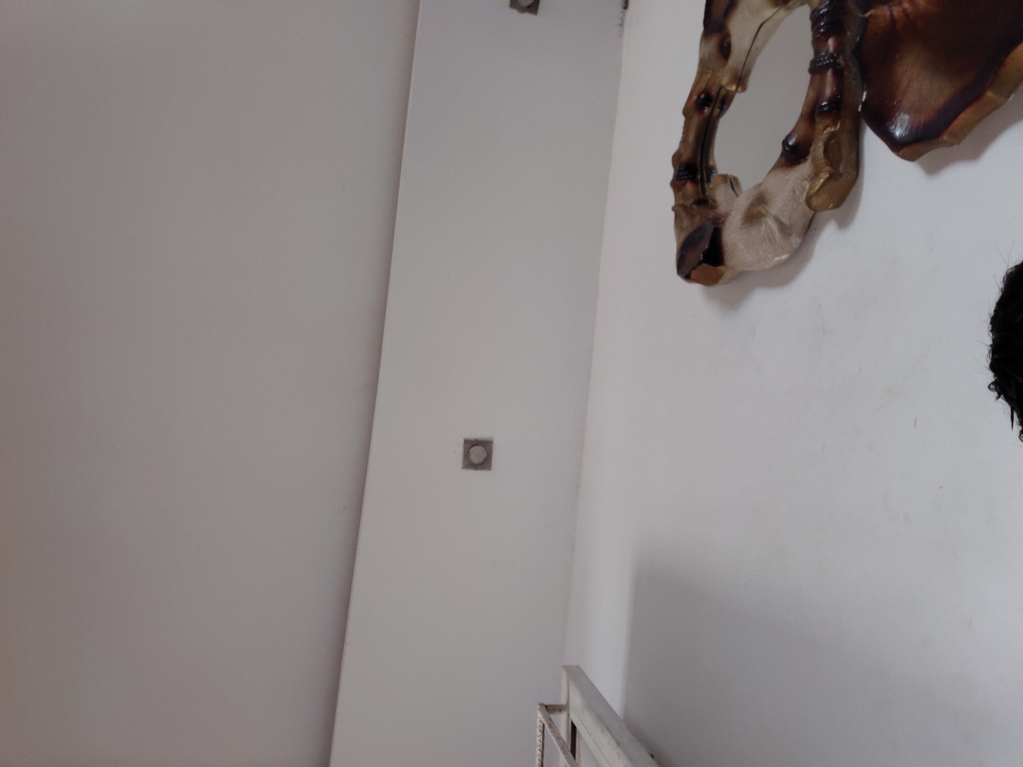 This image displays a static indoor scene, likely a part of a wall or corner within a building in Santa Ana, Venezuela. The dominant feature is a light-colored, possibly white or off-white, wall. On the left side, there's a vertical seam or edge, suggesting either a corner between two walls or a door frame.
A prominent decorative element is visible on the right side of the wall. This appears to be an ornate, organic-shaped wall hanging or part of a larger fixture, possibly a mirror frame. It is crafted from materials that give it a brown and beige, almost bone-like or carved wood appearance, with intricate curves and textures that suggest an aged or artistic finish. Within this decoration, a small, reflective surface, possibly a mirror, is partially visible.
Further to the left on the wall, a small, square-shaped fixture, possibly a vent, light switch, or electrical outlet cover, is mounted. It has a circular element in its center. At the bottom right corner, a portion of a simple white or light-colored railing or banister is visible, suggesting the presence of a staircase or an elevated platform. A dark, irregular shape, possibly part of another decorative item or object, can be seen at the extreme right edge, partially obscured.
No human subjects are present, and no activity or event is taking place. The lighting is soft and even, typical of an indoor environment. There is no discernible text in the image.