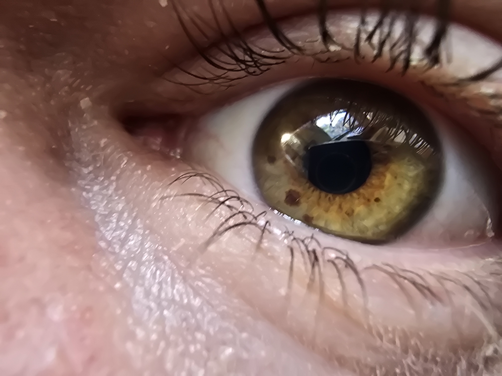 This extreme close-up image features a human eye, likely the left eye, viewed from a slightly elevated and angled perspective. The eye is open, revealing a hazel-colored iris with prominent greenish-brown tones and several distinct darker brown specks or freckles, particularly visible on the lower portion of the iris. The black pupil reflects an outdoor scene, suggesting daylight with distorted shapes that could be trees or sky.
The sclera (white of the eye) is visible on both sides of the iris. Long, dark eyelashes curve upwards from the upper eyelid and are also present along the lower lid. The surrounding skin exhibits fine lines, pores, and texture. Notably, small, light-colored flakes are visible on the skin, particularly in the inner corner of the eye and along the lower lash line. The lighting appears natural, creating clear reflections in the pupil and highlighting the details of the eye. No specific activity beyond being open and looking is discernible, and there is no visible text.