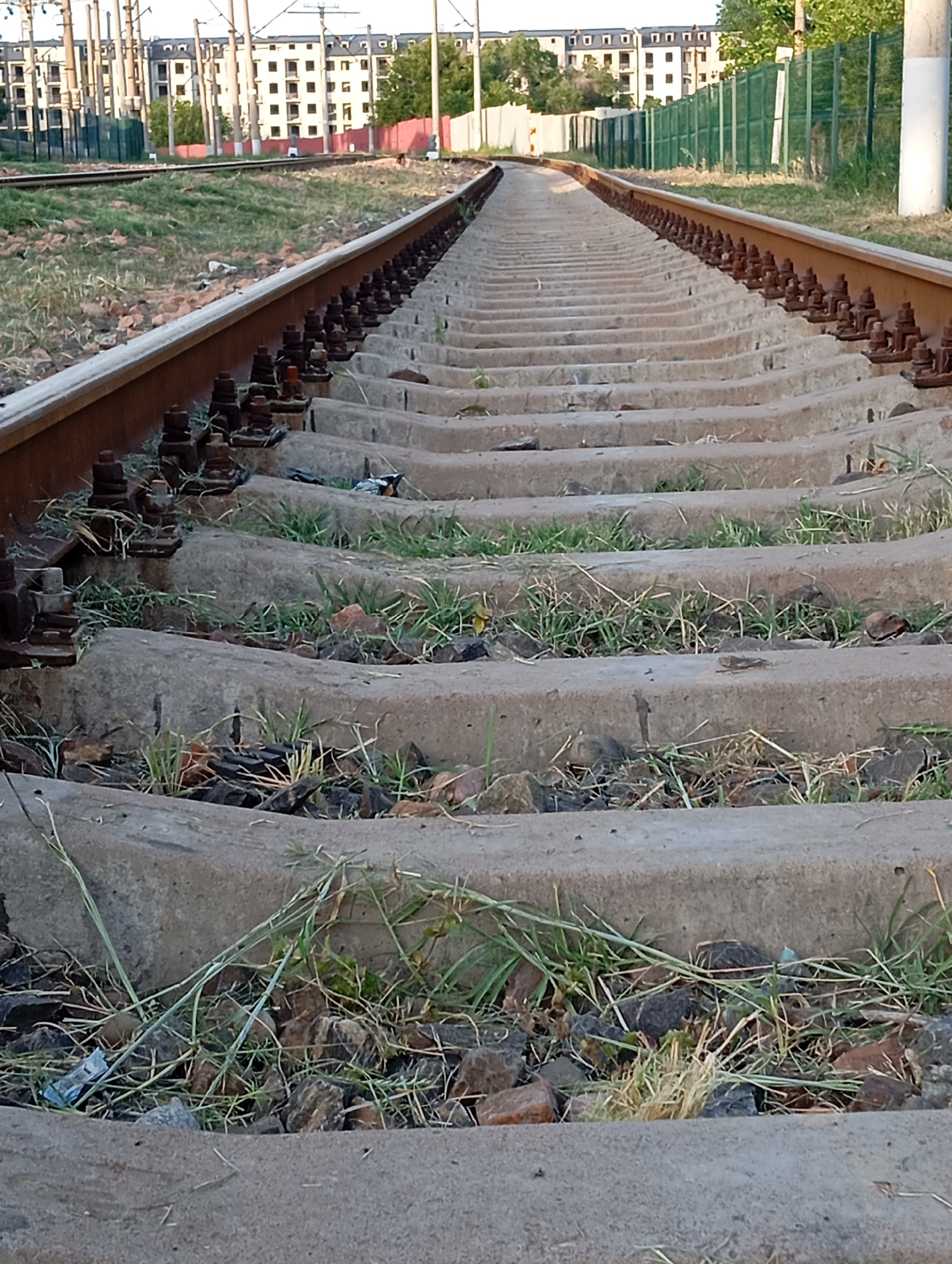 A close-up, low-angle shot focuses on a set of train tracks in Tashkent, Uzbekistan. The tracks lead into the distance, creating a sense of perspective. Rust-colored rails are connected to concrete sleepers by heavy bolts. Tufts of green grass and small rocks are scattered between the sleepers. In the background, a building with multiple windows can be seen, suggesting an urban setting. Beyond the building, a green fence and some trees add to the backdrop. The lighting suggests either early morning or late afternoon. The overall condition of the tracks suggests disuse or neglect.