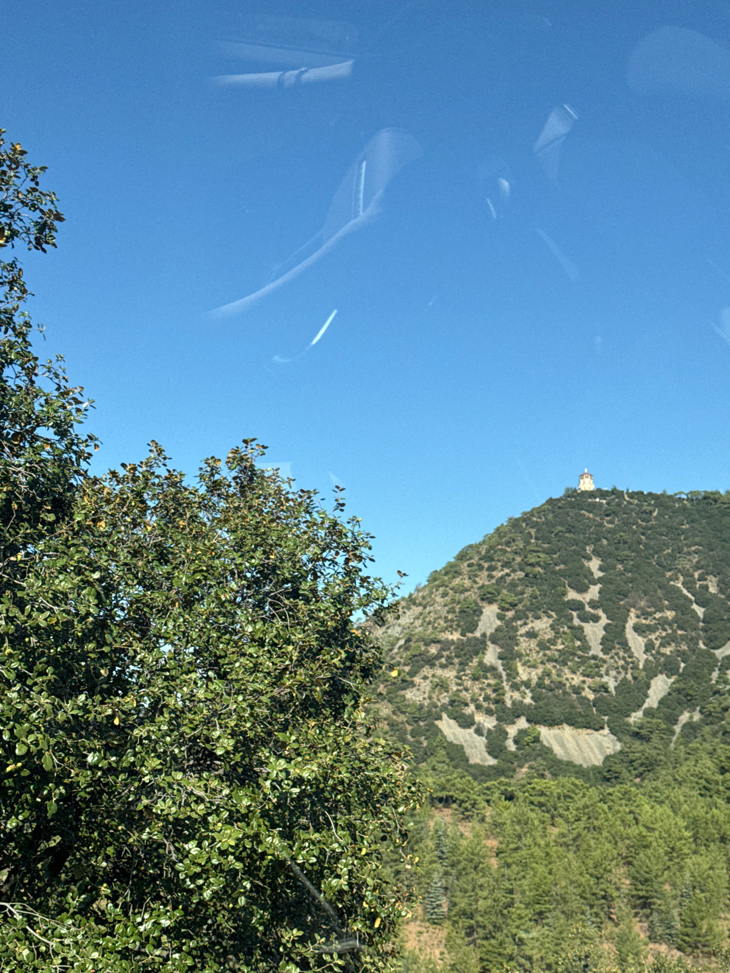 A clear, bright blue sky dominates the upper half of the image. In the foreground, on the left side, a large, leafy green tree with branches extends into the frame. In the middle ground, a lush green hillside rises, dotted with patches of light-colored rock. Atop the hill, a small, multi-tiered building with a red roof is visible. The lower portion of the image features a dense forest of green pine trees. The image appears to have been taken from within a vehicle, as evidenced by reflections on the glass in the upper portion of the frame. The scene is likely located in the vicinity of Tsakistra, Cyprus, given the landscape.