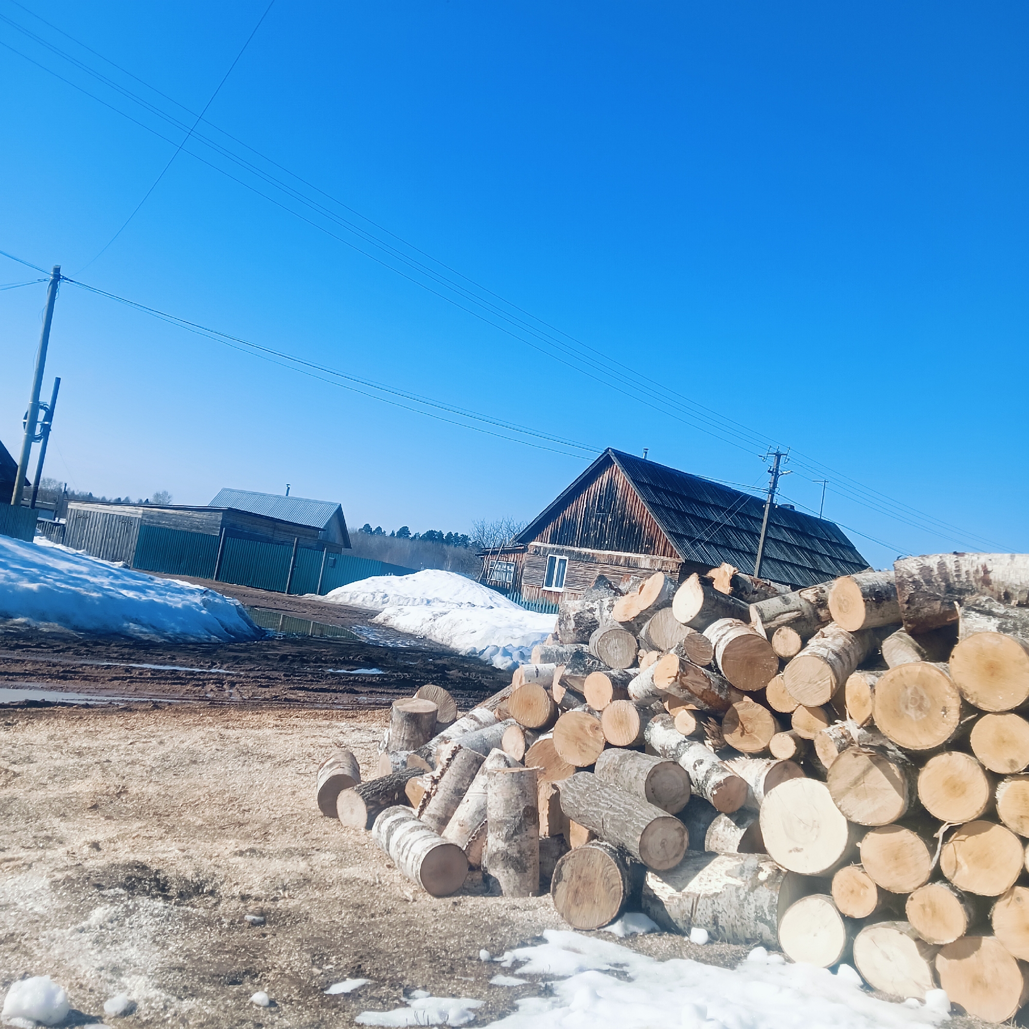In the rural setting of Burenka, Russia, a pile of freshly cut logs dominates the foreground, with the presence of bark suggesting a mix of birch and other tree species. A small amount of snow lingers at the base of the logs and scattered about the ground. The ground itself appears to be a mixture of dirt, mud, and wood shavings or sawdust. A rustic wooden house, typical of the region, stands in the middle ground, and other buildings and a fence are visible in the background. Electrical poles and wires are strung across the clear blue sky. The presence of snow remnants suggests that it is spring.