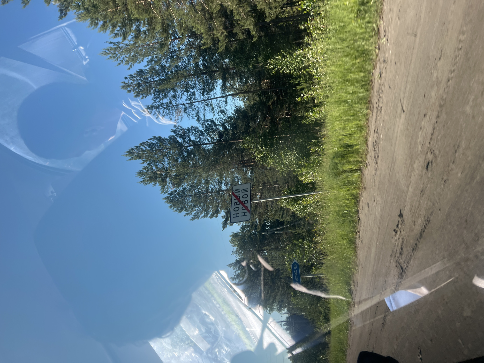 The image is a roadside view of a dirt road in a forested area. A white rectangular sign with a red diagonal line through it is mounted on a pole. The sign contains Russian text. There is another blue directional sign to the left of the main sign. The trees are predominantly pine and birch. The sky is clear and blue, with some reflections on what appears to be a car windshield in the foreground. The location is the city of Noviy, Russia, as indicated by the sign, which reads "Новый Новый," meaning "New New."