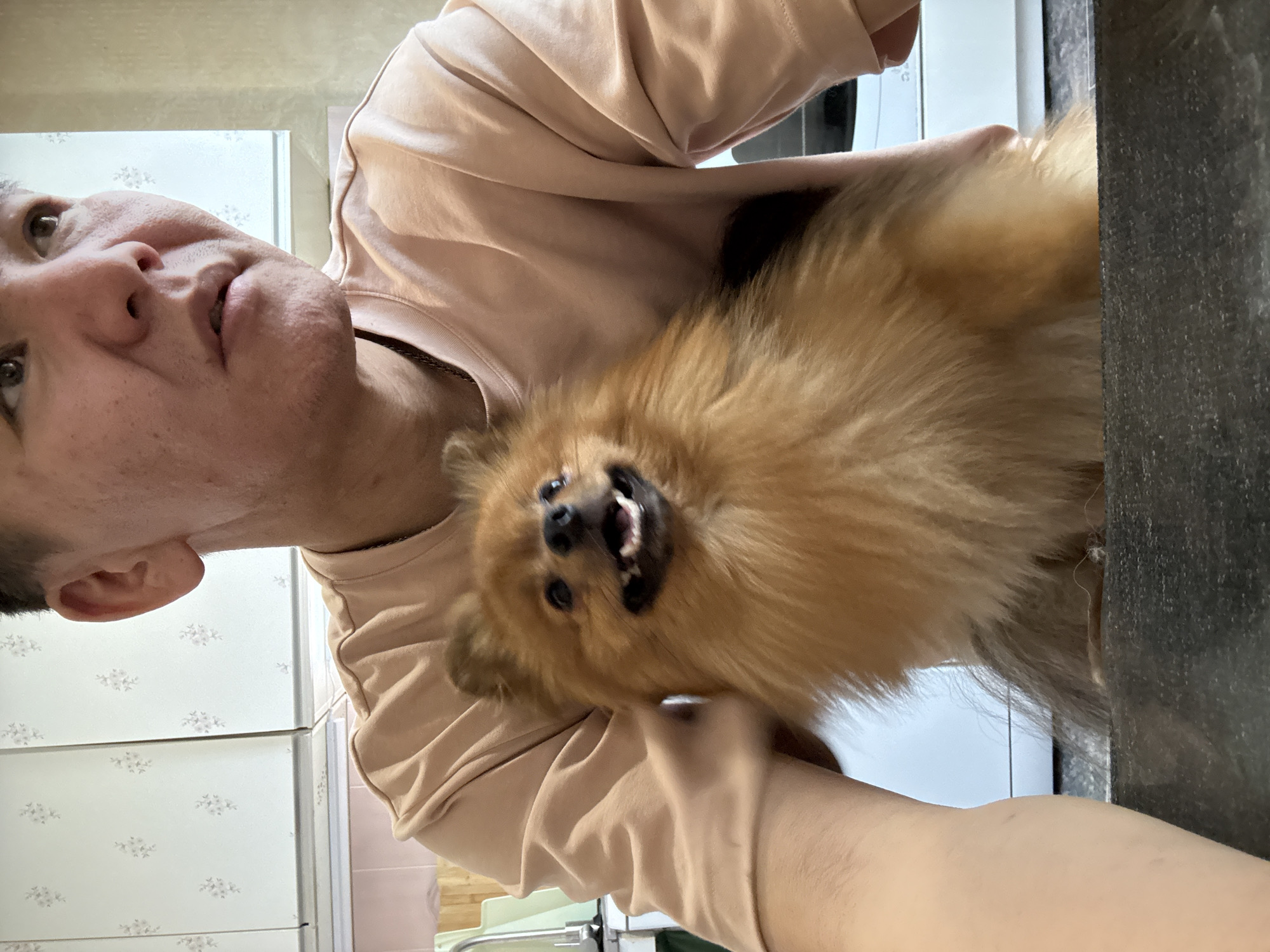 The image shows a person holding a small, fluffy, golden-colored dog, likely a Pomeranian, indoors. The person is wearing a light peach-colored long-sleeved shirt. The dog is looking directly at the camera with its mouth slightly open, appearing happy or excited. The background consists of white cabinetry with a subtle floral pattern. To the right, a dark, textured surface is visible, possibly a countertop or furniture. The overall lighting suggests an indoor environment during the daytime. The image is oriented vertically. There is no visible text in the image. The subject matter is a person and their pet.