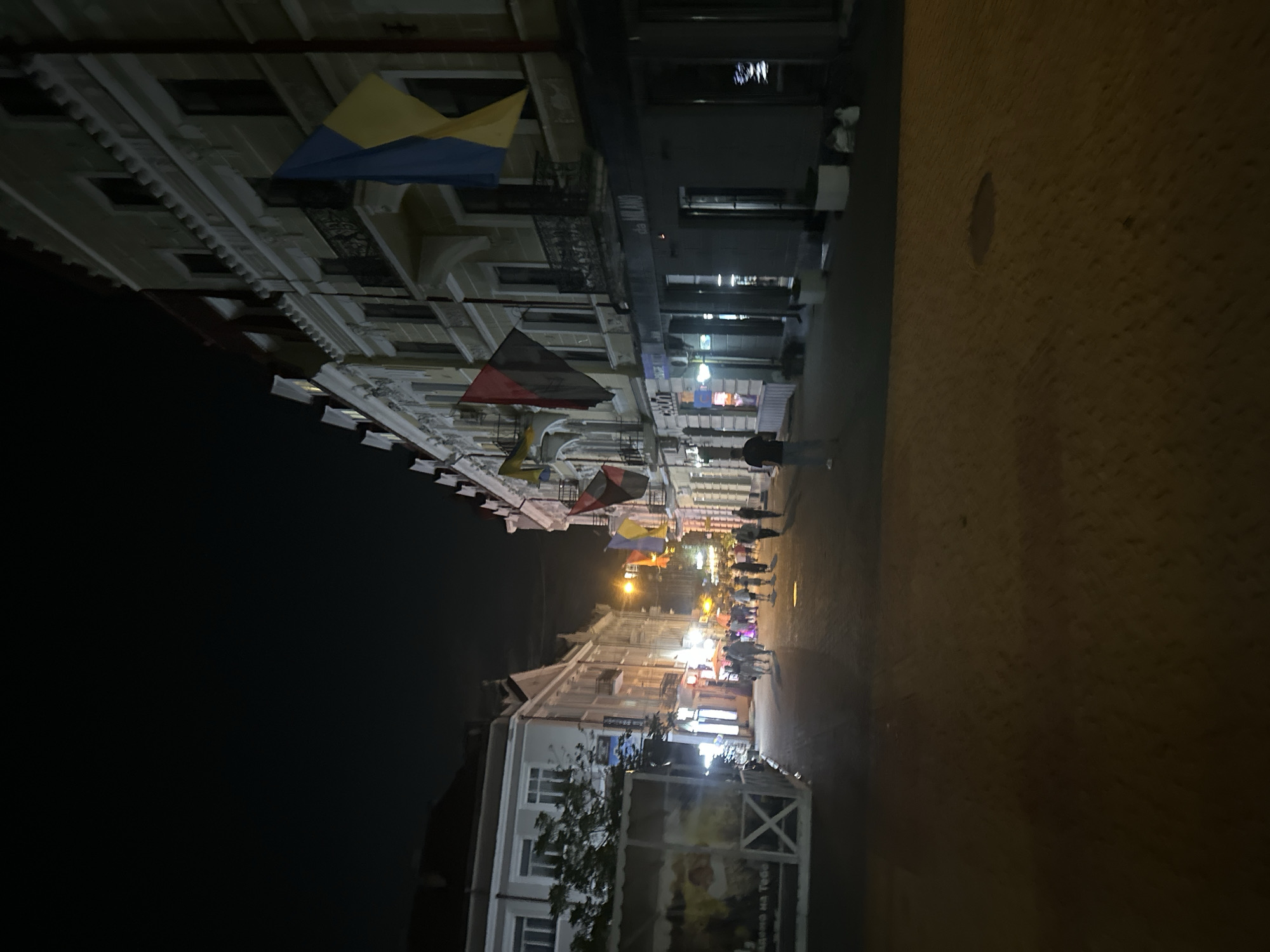 This is a nighttime, low-angle, medium-shot image of a pedestrian street in Ternopil, Ukraine. The street is lined with multi-story buildings, many of which appear to be shops or restaurants. Ukrainian flags are displayed on some of the buildings. There are several people walking on the street, some of whom are gathered in groups. The street is paved with cobblestones, and there are streetlights illuminating the scene. The overall atmosphere is one of a lively evening promenade.