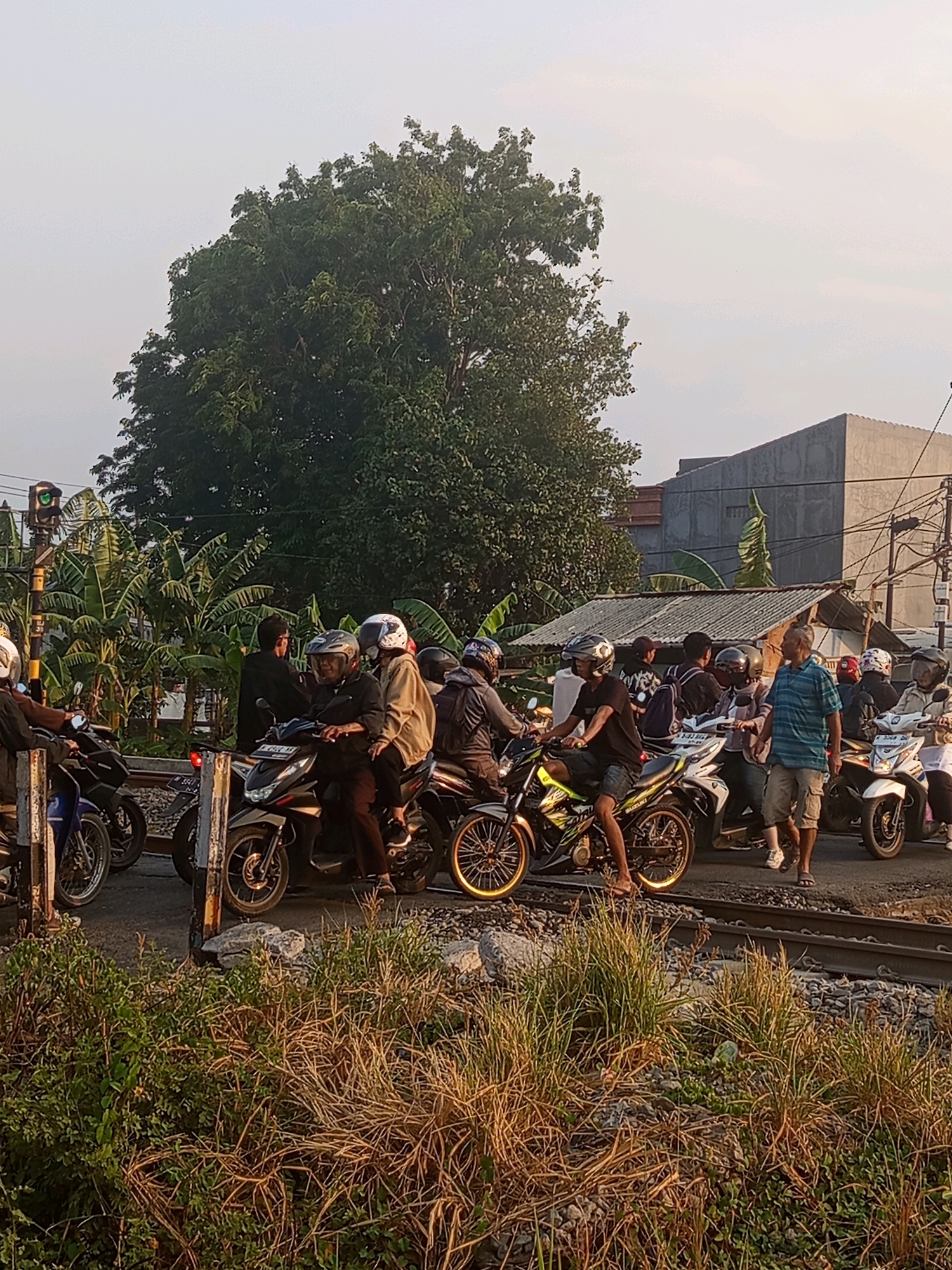 In Semarang, Indonesia, a group of people on motorcycles are waiting at a railway crossing. The traffic light for the crossing is red, indicating that a train is approaching or has just passed. The motorcycles are lined up on the road, with several riders wearing helmets. In the background, there are buildings, trees, and power lines. The scene appears to be a typical urban environment in Indonesia, with a mix of modern infrastructure and natural elements. The sun is low in the sky, casting long shadows, suggesting it is either early morning or late afternoon. The vegetation in the foreground, with its dry grasses and green leaves, indicates a tropical climate.