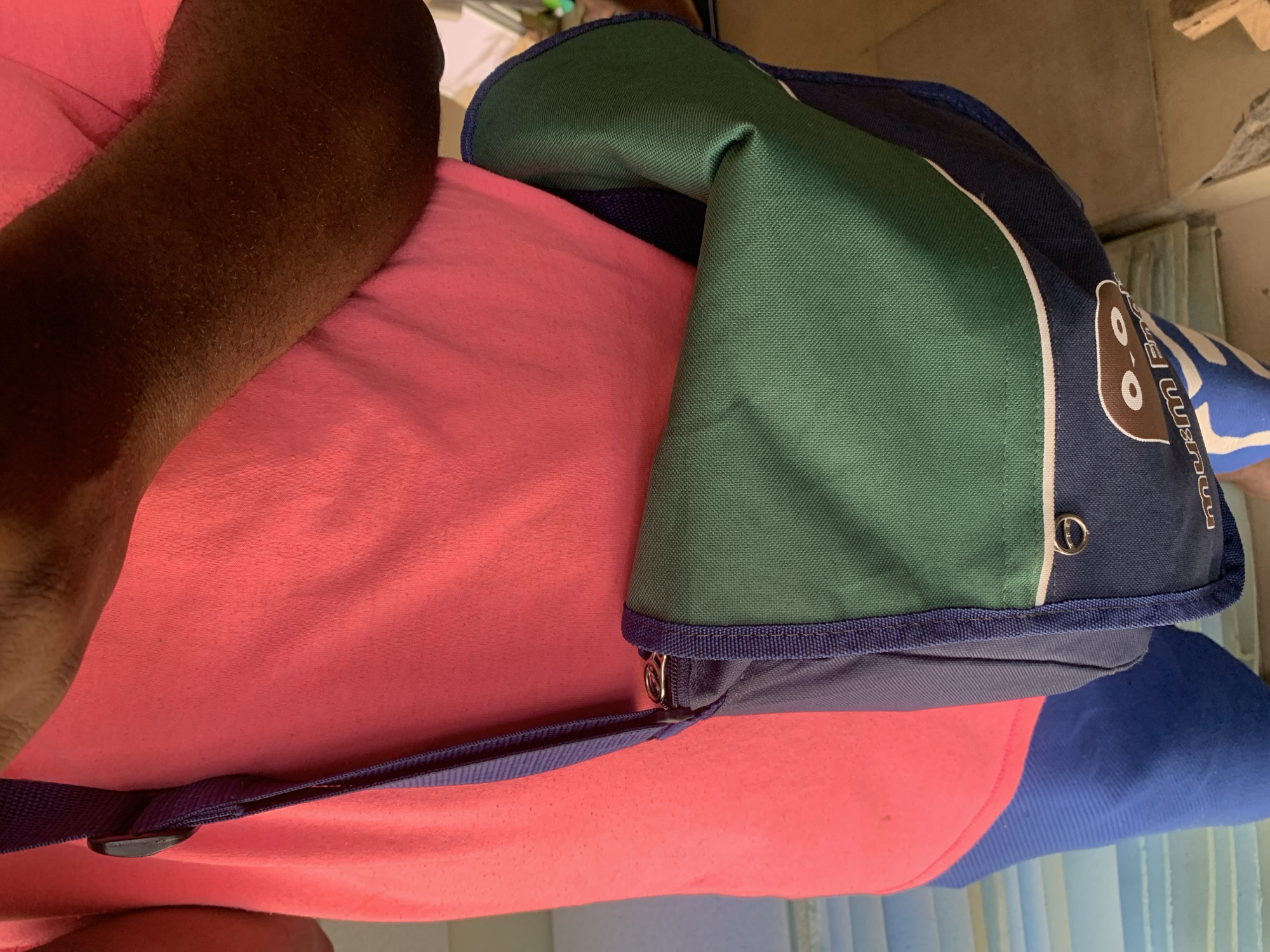 An individual wearing a bright pink t-shirt and blue athletic shorts is photographed from the chest down. The person's arm, which is dark-skinned, is visible. They are carrying a messenger bag with a blue strap over their shoulder. The bag itself is predominantly green and navy blue, with a white trim. There is a circular metal clasp on the front of the bag. The background appears to be an outdoor setting, possibly a porch or patio, with light blue slats visible on the left and a wooden floor on the right. The lighting suggests it is daytime, with bright sunlight casting shadows.