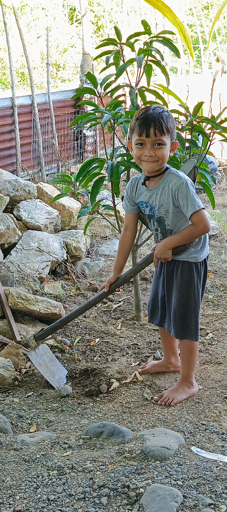 In Meunasahmesjid, Indonesia, a young boy, approximately 7-9 years old, with dark hair and a broad smile, is engaged in gardening. He wears a grey t-shirt with a blue graphic and dark grey shorts, barefoot on the gravelly ground. He is holding a hoe, its metal blade embedded in the soil, suggesting he is digging. A small tree with vibrant green leaves stands behind him, with a pile of rocks to his left. The background features corrugated metal fencing and more trees. The lighting indicates it's daytime.