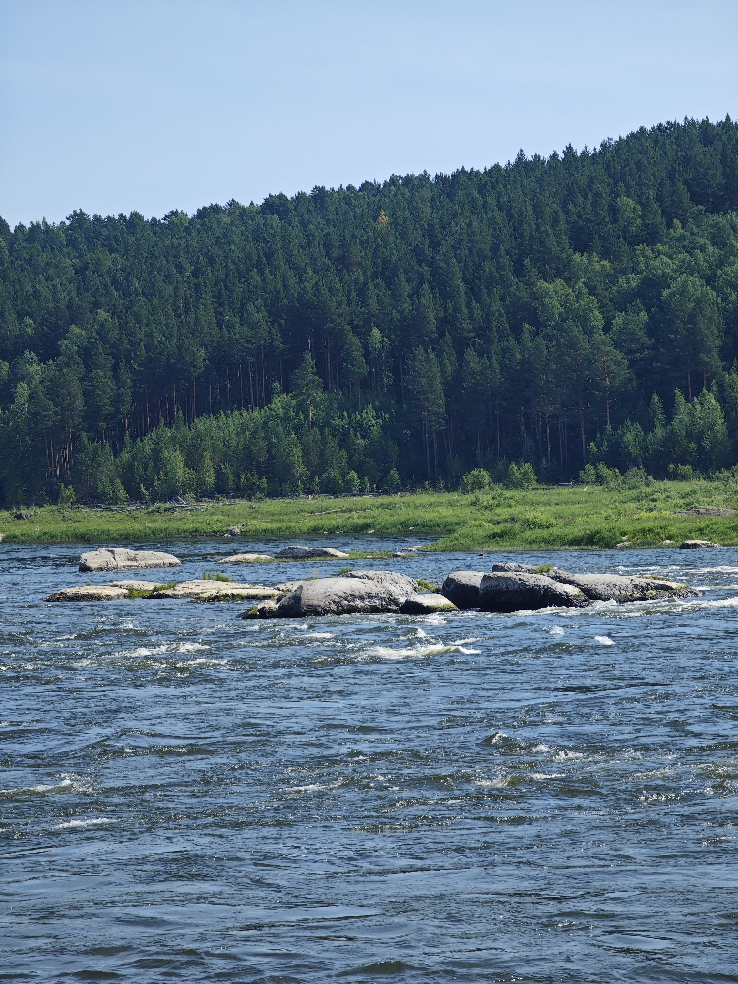 The image depicts a wide, fast-flowing river with rocky outcrops partially submerged in the water. The river occupies the foreground and midground of the scene. In the background, a dense forest of coniferous trees covers a hillside that slopes upwards towards a clear, pale blue sky. The forest appears lush and green, with visible tree trunks in places. The shoreline between the river and the forest is characterized by a band of green grass. The overall impression is one of a natural, undeveloped landscape. The location is identified as Porog, Russia.