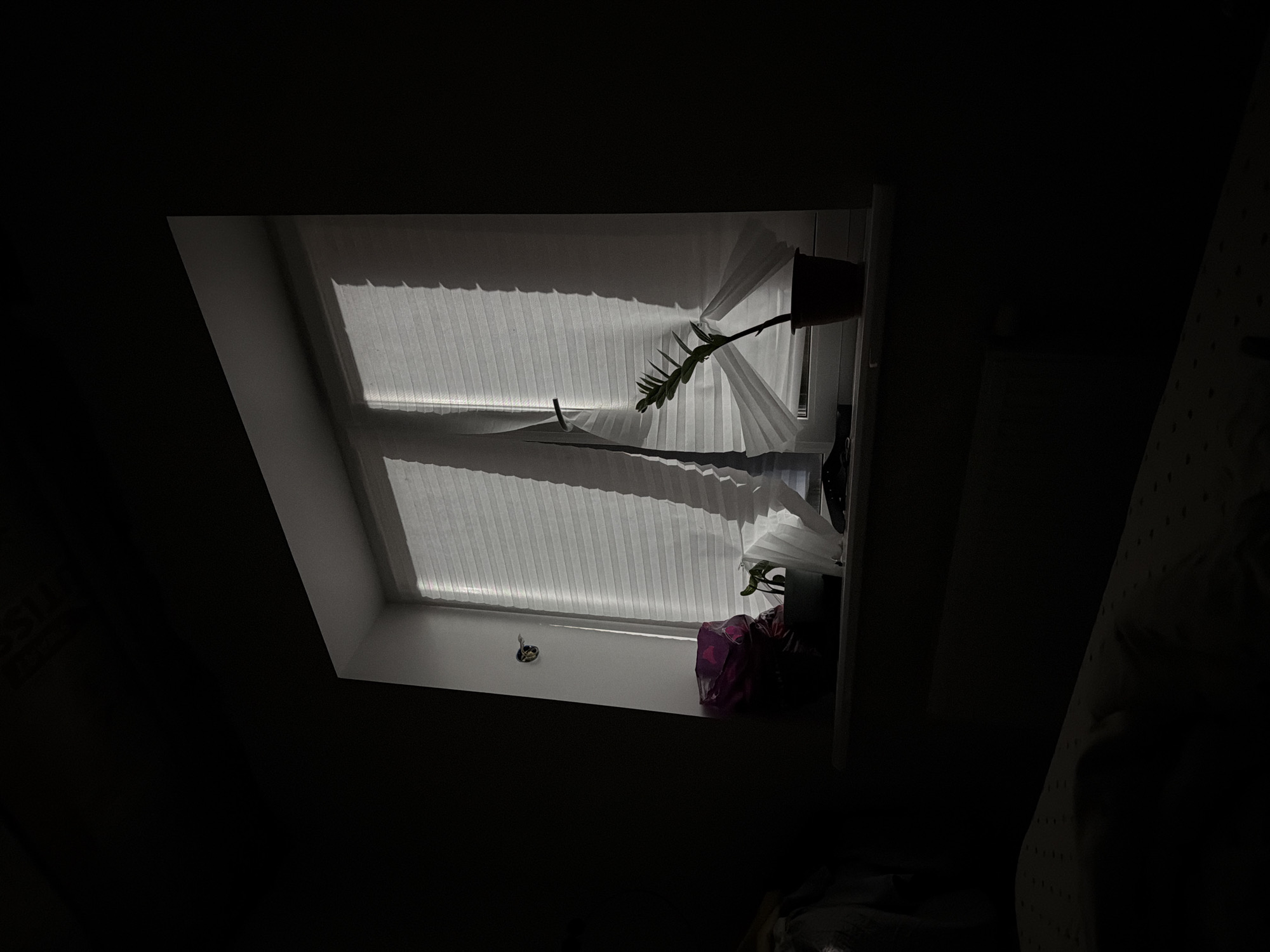 The image depicts a dimly lit interior with a skylight as the primary source of light. The skylight has white pleated blinds partially drawn, casting striped shadows across the windowsill. Two potted plants are positioned on the windowsill. In Chaikovsky, Russia, the image's composition suggests an interior setting relying on natural light filtering through a skylight.