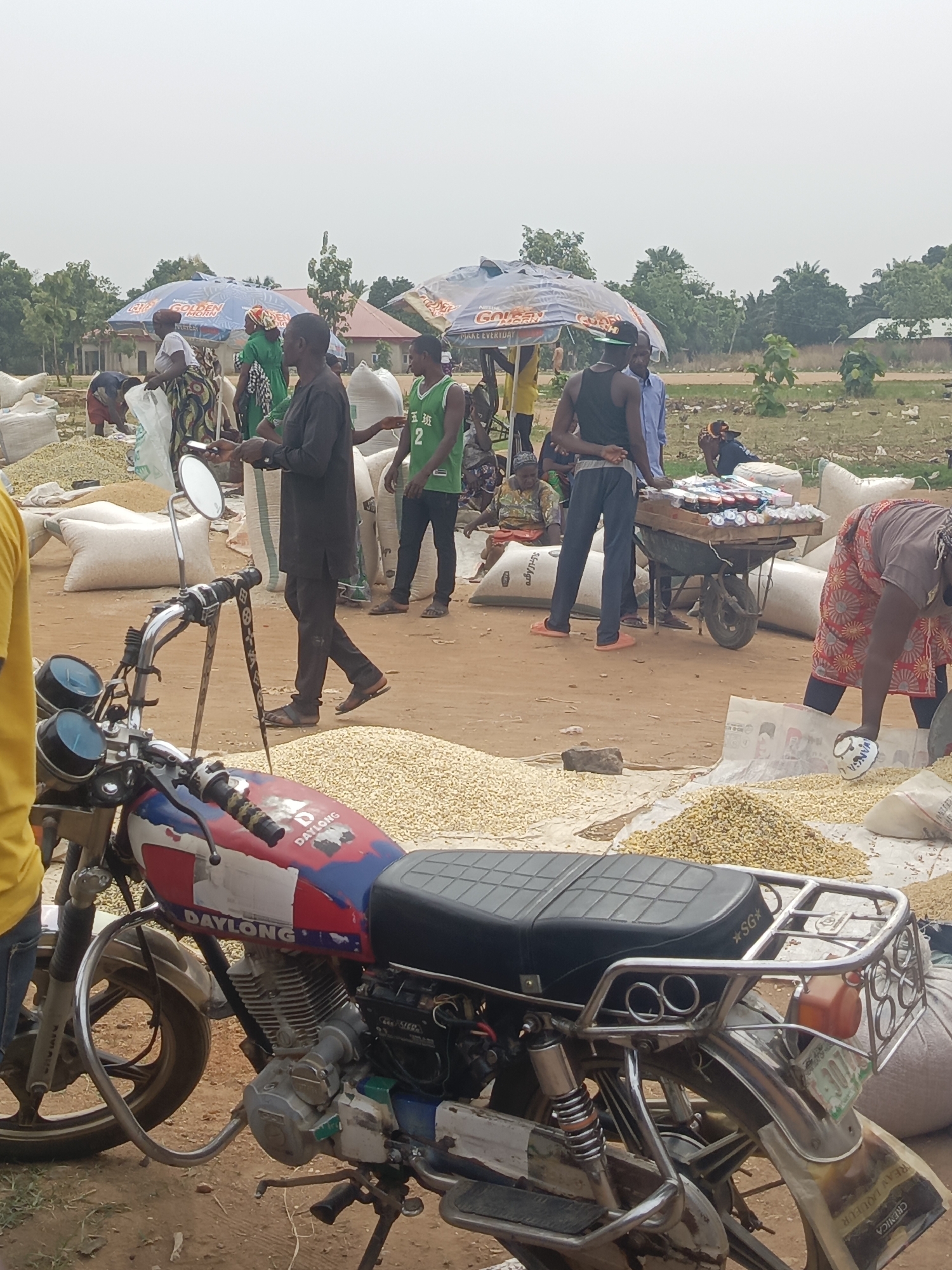 This media file captures a bustling outdoor market scene in Andaha, Nigeria, under an overcast sky. The ground is dusty, indicating a rural or semi-urban setting, with sparse vegetation and distant buildings.
Numerous people are engaged in market activities. Piles of light-colored grains or beans are spread on tarps on the ground, and white sacks, some full and some open, are scattered around. Several individuals are seen bending over these piles, possibly sorting, weighing, or bagging produce.
Among the subjects are a man in a black tunic walking past, another man wearing a green jersey with "五班" (meaning "Class 5" in Chinese) and the number "2" on it. A woman in a patterned skirt is actively scooping grains into a container. In the mid-ground, a man pushes a wooden wheelbarrow laden with small packaged goods, likely snacks or household items, for sale.
Notable objects include large market umbrellas providing shade. One umbrella clearly displays "GOLDEN MORN" and "MAKE EVERYDAY," a brand of Nestlé cereal common in the region. Another umbrella shows "GOLBAN."
In the foreground, a prominently parked "DAYLONG" motorcycle, painted red, white, and blue, adds to the local atmosphere. The motorcycle's seat has a "★SG" logo, and its rear mudguard shows text including "CREMICA" and "TREAN LIQUEUR." A bag near the grains has the word "VANGA" visible. The overall scene depicts a vibrant hub of commerce and daily life.