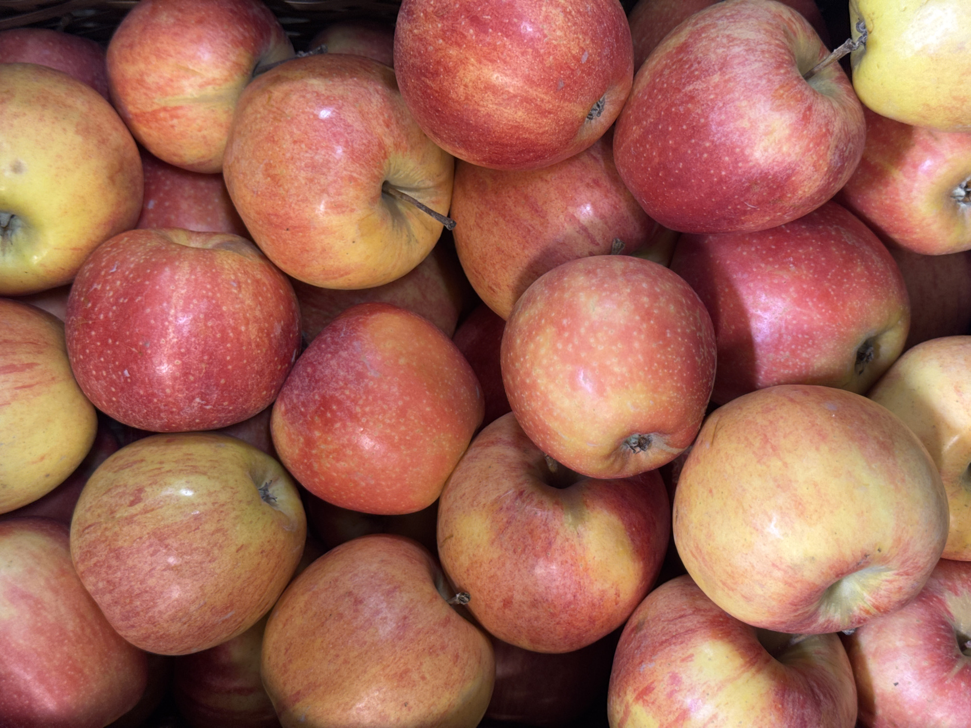 A close-up shot of a large group of apples with a yellow and red color scheme. The apples are densely packed, filling the frame and creating a visually appealing pattern. The apples display a variety of shapes and sizes, suggesting a natural, unarranged arrangement. The scene is well-lit, highlighting the texture and variations in the apples' skin. The composition is focused on the texture, color, and density of the apples, creating an appealing visual effect. The location of the scene is unknown, and there are no people visible in the image. The primary subjects are the apples themselves, with no explicit actions or interactions. The environment is suggested by the presence of the apples, which may be in a store, market, or other food-related location.