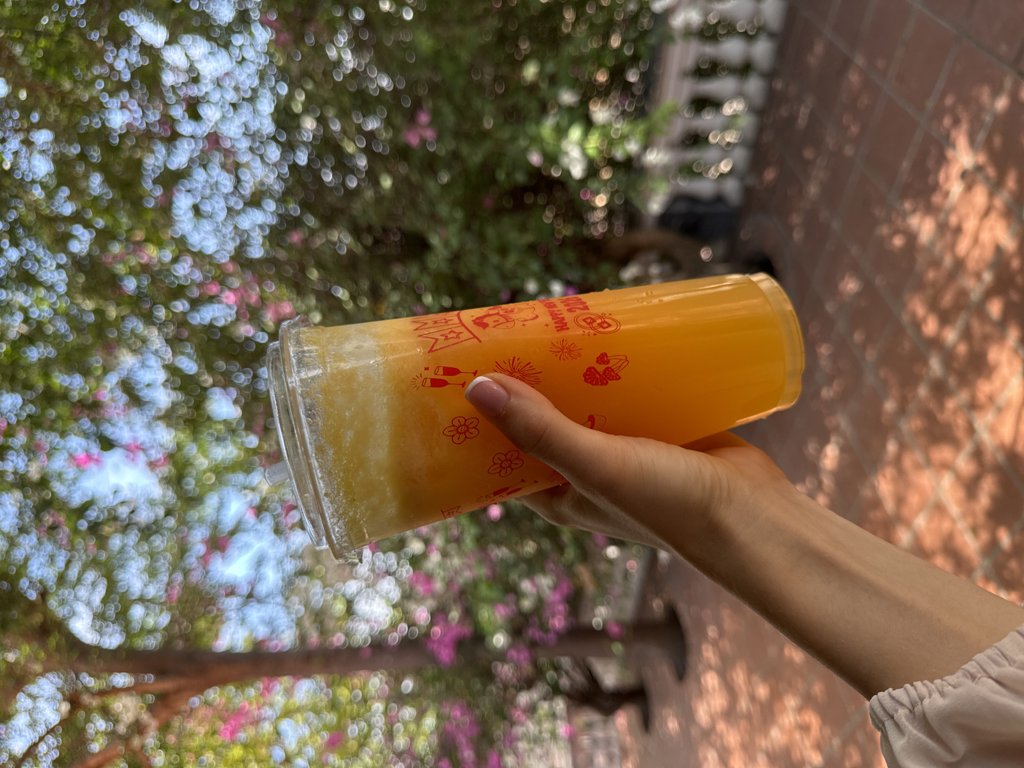 A woman's arm holds a clear plastic cup with orange liquid. The cup is adorned with red drawings including flowers, champagne glasses, and the phrase "Happy New Year 2021." The drink has a distinct gradient, with a lighter, slushy-like consistency at the bottom and a smoother, darker orange liquid at the top. The woman's hand is visible, displaying a light-colored manicure with French tips.
The background is split between a blurred view of trees with pink flowers on the left and a textured, brick wall on the right, partially shaded by tree branches. The scene suggests an outdoor setting in a place with both foliage and brick architecture.
Given the phrase "Happy New Year 2021" on the cup, it's likely the picture was taken during or shortly after that time. Based on the style of the architecture and foliage, the location is consistent with Mũi Né, Vietnam.