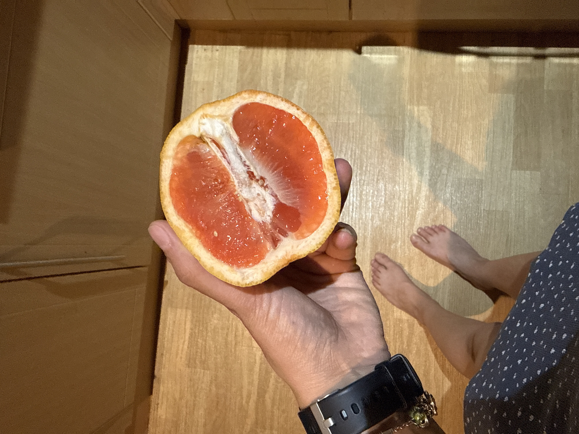 A person is holding a halved grapefruit in their left hand. They are wearing a black watch with a metal buckle and a chain bracelet. The person is standing on a light-colored wood floor. In the background, there is a wooden cabinet and the person's bare feet and part of their leg, which is covered by a dark blue and white patterned garment. The location is presumably indoors, with a focus on the domestic setting.
The image doesn't provide information that places the location in Great Yarmouth, United Kingdom.