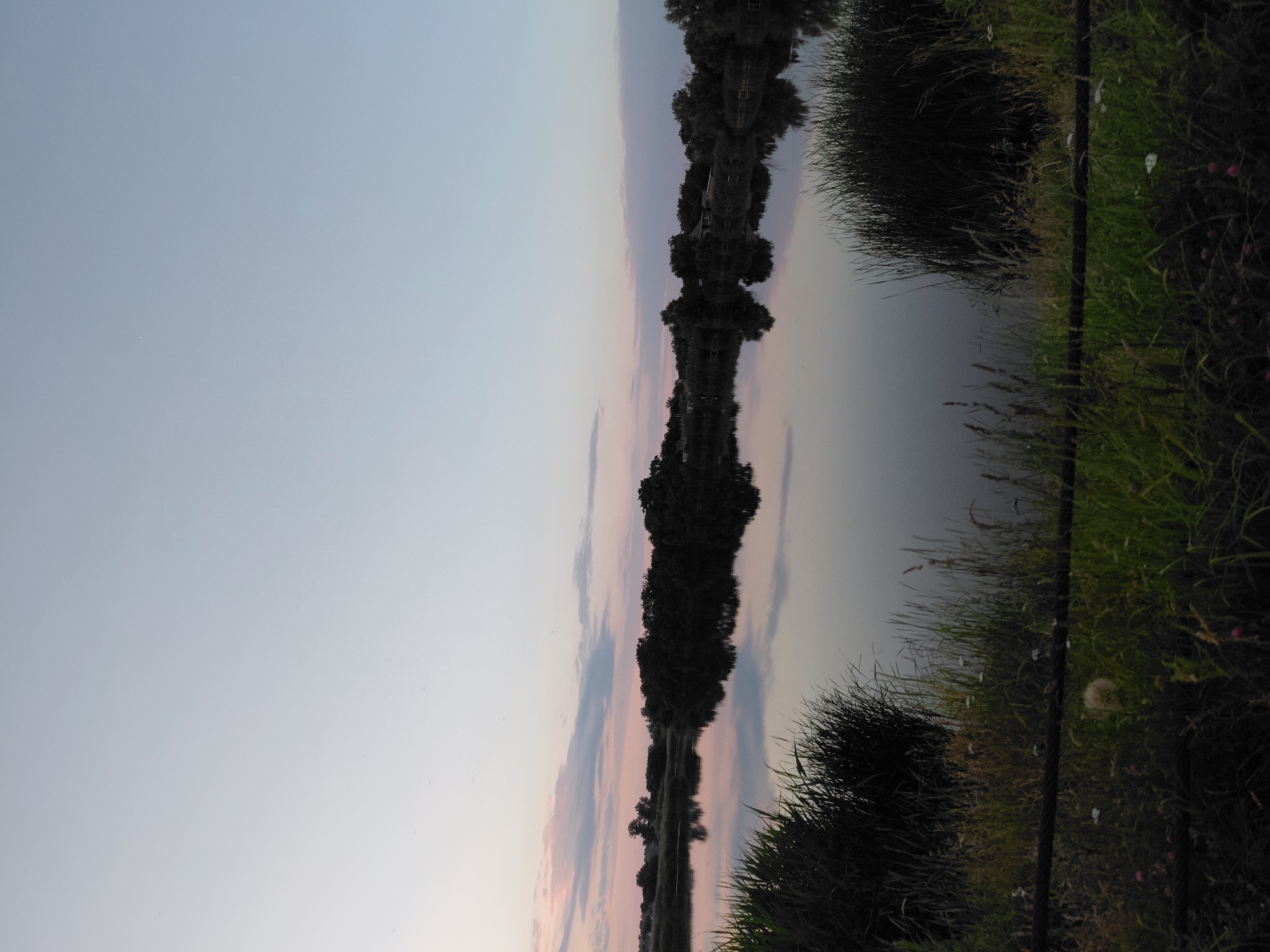 This is a photograph of a tranquil lake at dusk, likely in Ustyvytsia, Ukraine. The sky is a gradient of pale blue to soft pink, with wispy clouds. Dense trees and vegetation line the opposite bank of the lake, their dark silhouettes reflected in the still water. The foreground consists of tall grasses and reeds, with a dark, horizontal cable running across the lower portion of the frame, separating the viewer from the water's edge. There are no people or animals visible in the image. The overall atmosphere is peaceful and serene, characteristic of a quiet evening in a rural setting.