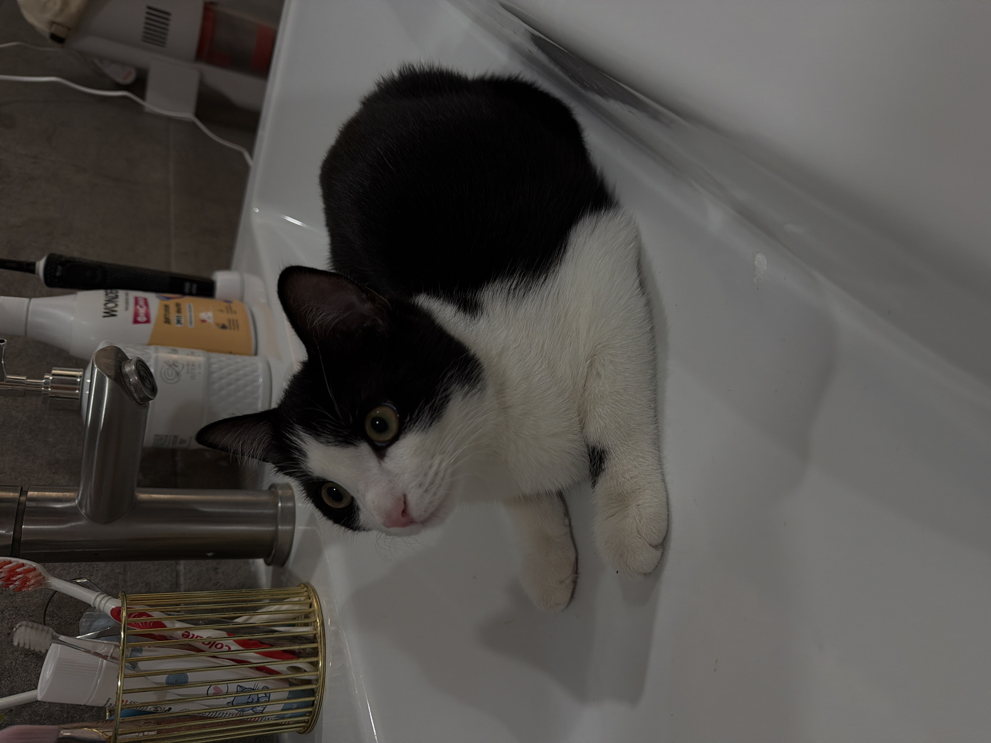 A black and white cat is in a white sink in an unidentified bathroom. The bathroom contains a faucet, a toothbrush holder containing toothbrushes and toothpaste, and various bottles of toiletries. The location is not specified.