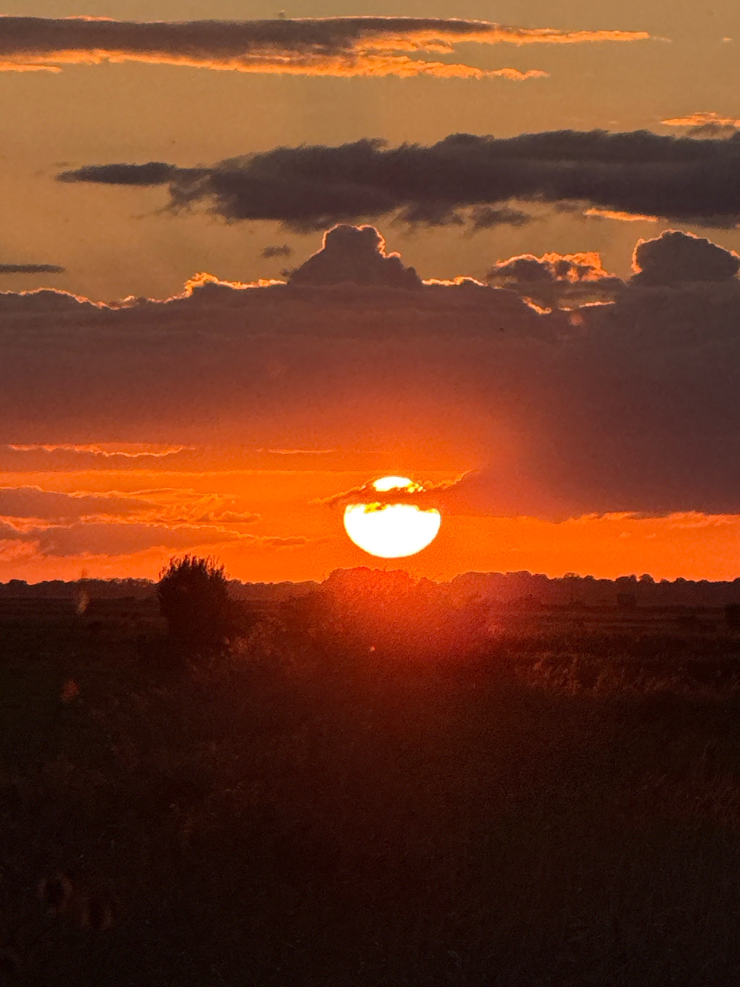 The image captures a vibrant sunset over a rural landscape. The sun, a bright orange orb, is partially obscured by clouds, casting a warm glow across the sky. The clouds are a mix of dark and light, with the edges illuminated by the setting sun. In the foreground, a silhouette of trees and vegetation forms a dark contrast against the illuminated sky. The overall impression is one of a serene and picturesque natural scene. There is no indication that this scene is located in the city of Great Yarmouth, United Kingdom, as the landscape appears to be rural.