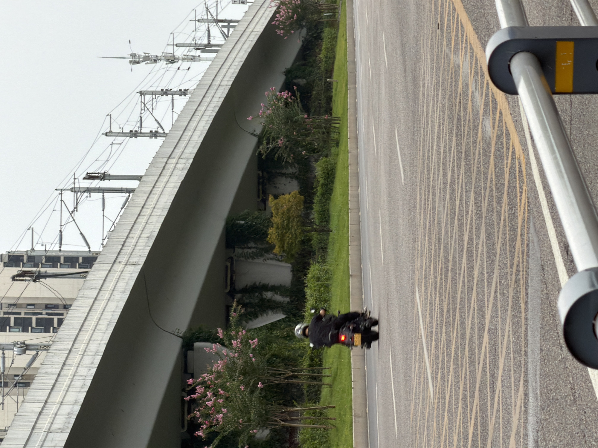 A motorcyclist wearing a black shirt and helmet is riding a motorcycle on a paved road in Jiangjin, China. The motorcycle has a yellow license plate. The road has yellow crosshatch markings. In the background, a large concrete overpass runs diagonally across the image, with overhead power lines and poles. Beneath the overpass, there is a grassy area with trees, some of which have pink flowers. Further in the background, several buildings are visible, including some high-rise structures. The sky is overcast and pale gray. The foreground shows a metal railing.