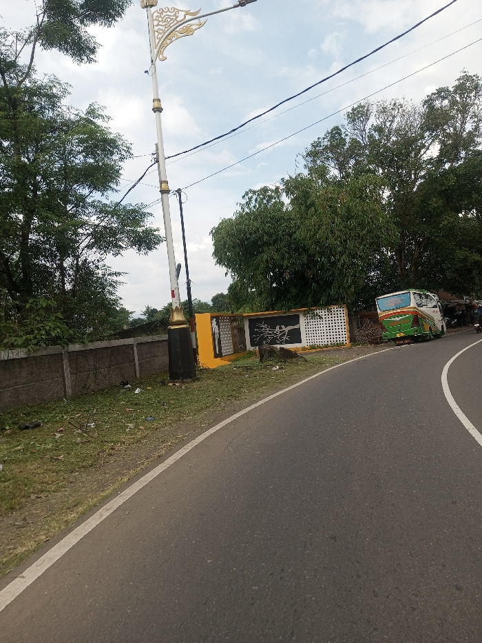 This image depicts an exterior scene along a curved asphalt road in Chhenangri_Rishor, Bhutan, under a partially cloudy sky. The foreground shows a dark asphalt road with a continuous white line marking its inner edge. To the left of the road is a green verge with sparse grass and scattered litter.
Dominating the left-center is a tall, ornate street light post with a white shaft, gold decorative elements, and a black base, featuring an elaborate golden finial at the top. Overhead, black electrical wires traverse the frame. Behind the street light and verge, a low, grey concrete boundary wall runs horizontally. Further behind this wall, dense green foliage from various trees is visible.
To the right of the street light, the concrete wall transitions into a more decorative section. This section features distinct panels: a solid yellow panel on the left, a black panel with a white silhouetted tree branch motif, and a white panel with a grid pattern. Another yellow panel with white human-like figures is partially visible to the left of the black tree motif panel. Adjacent to this decorated wall section, further down the curved road, a white vehicle with green and orange accents, possibly a mini-bus or van, is parked or traveling. No individuals are clearly visible.