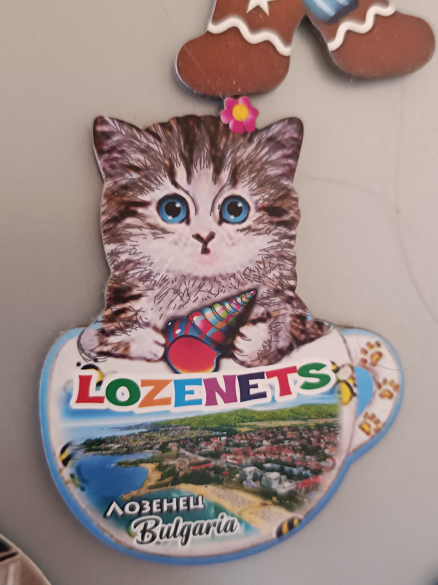 A close-up shot of a refrigerator magnet featuring a kitten in a teacup design. The kitten is gray and white with bright blue eyes and a small pink flower sticker on its head. It's holding a colorful, swirled object. The teacup features a scenic view of Lozenets, Bulgaria, with the words "LOZENETS" in colorful block letters above the image and "ЛОЗЕНЕЦ Bulgaria" beneath it. Small bee and paw print designs adorn the sides of the teacup. The magnet is attached to a gray surface. A portion of a gingerbread-shaped magnet is visible above the kitten.