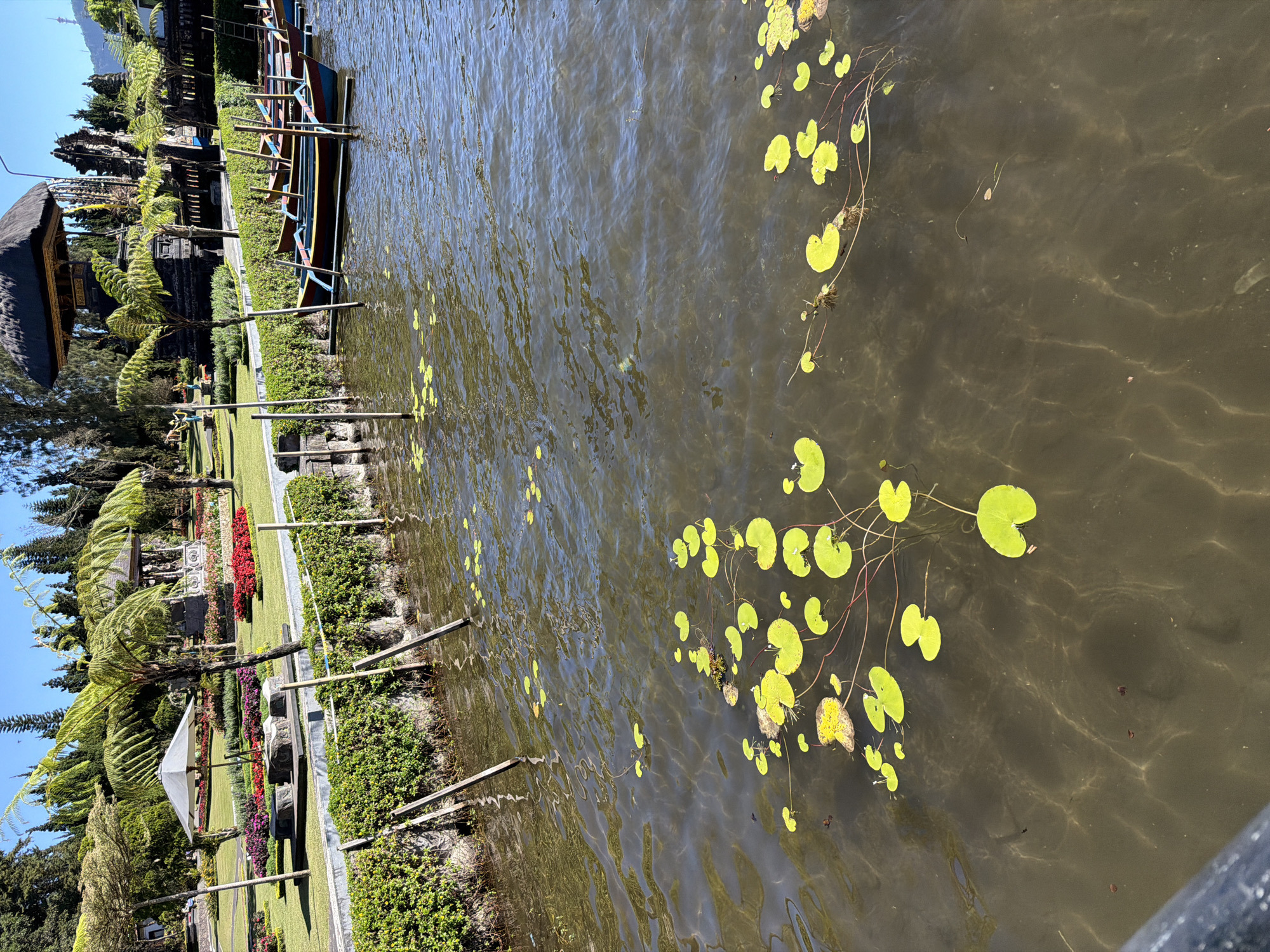 The image shows a body of water with lily pads floating on its surface. In the background, there is a lush green garden with a variety of flowers, trees, and a traditional building with a thatched roof. Several small boats are docked along the edge of the water, and wooden posts are partially submerged in the water, serving as a barrier. The scene appears to be a tranquil outdoor location, likely a park or temple grounds, in Baturiti, Indonesia. The water is clear enough to see the bottom in some areas, and sunlight reflects off its surface, creating a shimmering effect.