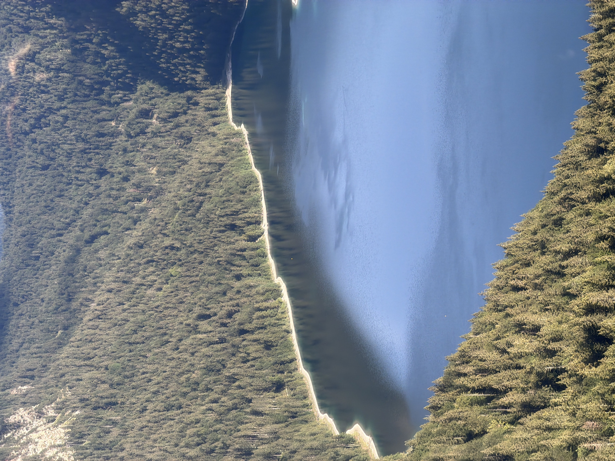This is an aerial photograph of a lake in Grainau, Germany. The lake is a deep blue color and reflects the surrounding evergreen forest. The forest covers the steep slopes of a mountain that rises to the left of the lake. The trees are dense and create a uniform green carpet on the mountainside. The shoreline of the lake is irregular and lined with trees. The sky is clear and a bright blue. There are no visible people or man-made structures in the image. The scene is natural and serene.