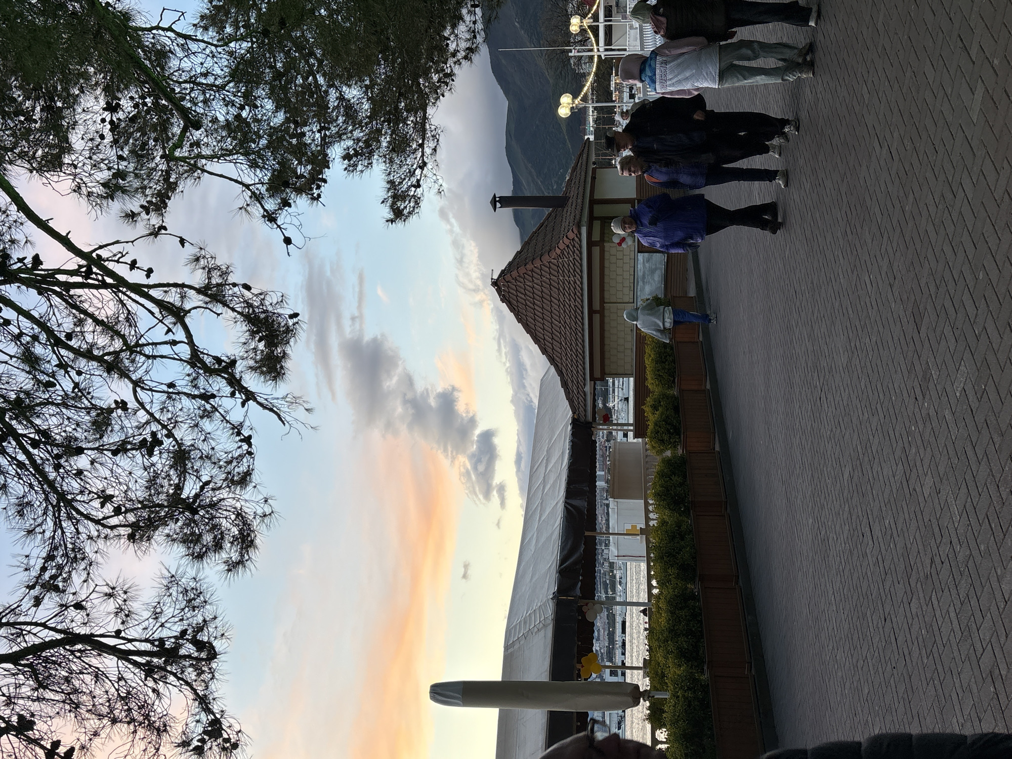 The image presents an outdoor scene. In the foreground, a brick-paved walkway is visible with a planter box along its edge containing shrubs. A group of people are walking along the walkway.
In the background, there's a building with a sloped roof and a chimney. Beyond the building, there appears to be a mountain range. The sky is visible above, displaying a sunset with orange and white hues.
A tree with many pine cones is located in the top left of the image.
Based on the image, the location could be Gelendzhik, Russia. The presence of mountains, the building style, and the overall environment are consistent with this location.