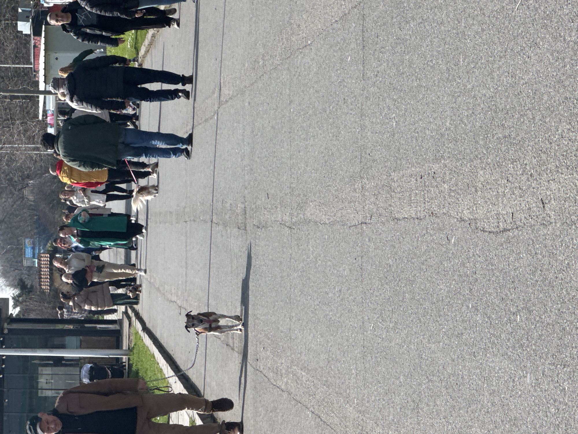 The image shows a group of people walking along a paved area, seemingly a street or sidewalk in Burgas, Bulgaria. Several people are walking dogs on leashes. The pavement is grey and cracked in places. There is a building on the left side of the frame. The weather appears to be sunny.
