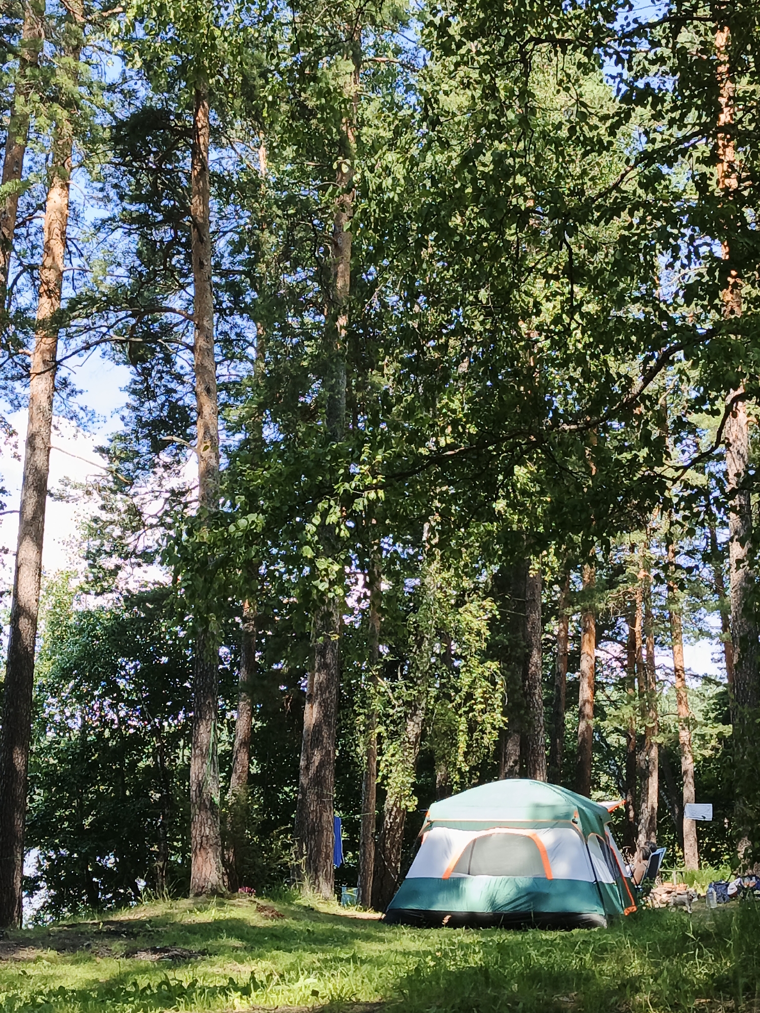 The image depicts a camping scene set in a dense forest, likely within or near Nepryakhinskoye Sel'skoye Poseleniye, Russia. A green and white tent with orange accents is pitched on a grassy area, partially shaded by tall pine trees. The ground is covered with a mix of grass and pine needles. The background is dominated by the forest canopy, with sunlight filtering through the leaves, creating dappled light and shadow patterns. The sky is visible through gaps in the trees and appears to be a clear blue. There are no people visible in the immediate vicinity of the tent, though a few items of camping gear, including chairs and possibly a cooler, are present to the right of the tent. A blue tarp or piece of clothing is hanging from a tree in the background. The overall impression is one of a tranquil, secluded natural setting for outdoor recreation.