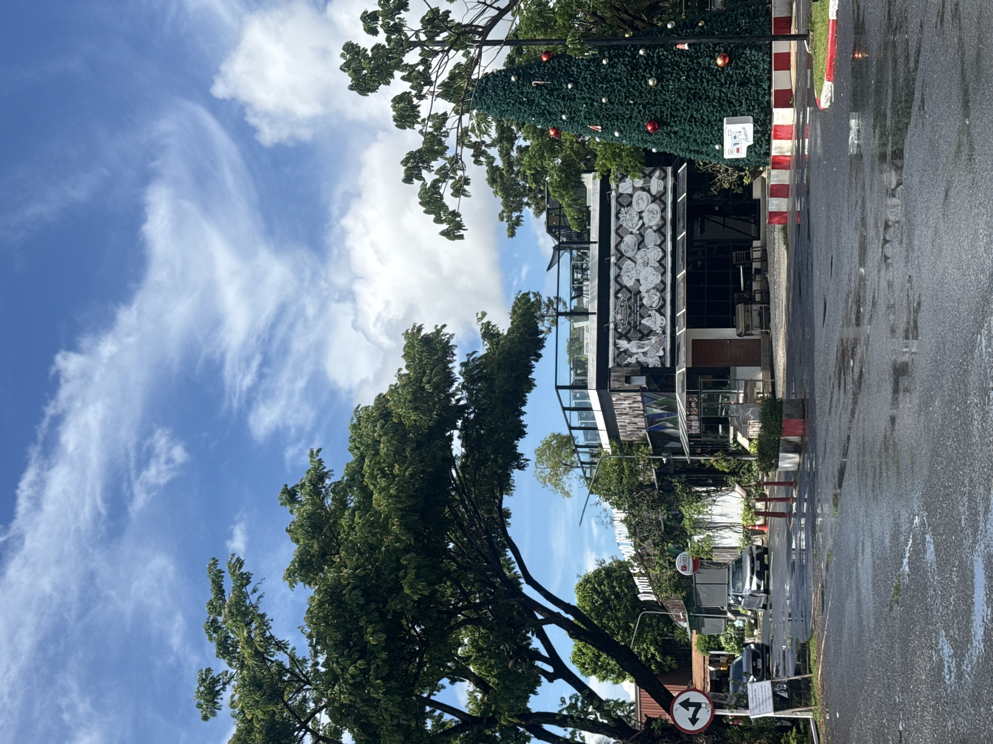 A vertical, eye-level outdoor shot captures a scene on a wet road in Choeng Thale, Thailand. The sky above is a vibrant blue, dotted with scattered white clouds. Dominating the left side of the frame are the dense green leaves and dark branches of a large tree.
In the mid-ground, a two-story building with a modern design stands out. The lower level features a dark-tiled facade with a glass storefront displaying tables and chairs. Above this, the second story has a black railing, suggesting an outdoor seating area, and is adorned with a large, intricate mural depicting a traditional Thai scene. A prominent Christmas tree, decorated with red and silver ornaments, stands to the right of the building, near its entrance.
The foreground is a dark, wet asphalt road reflecting the sky and surrounding objects, indicating recent rain. Two cars are visible on the road; a silver sedan is parked in front of the building, and a dark sedan is further back on the left. Traffic signs, including a circular sign with arrows indicating left and straight turns, are positioned on the left side of the road. Red and white bollards are placed along the edge of the road and around a small patch of grass in front of the Christmas tree. The overall scene suggests a commercial area, possibly a restaurant or complex, during a tropical day with lingering signs of rain.