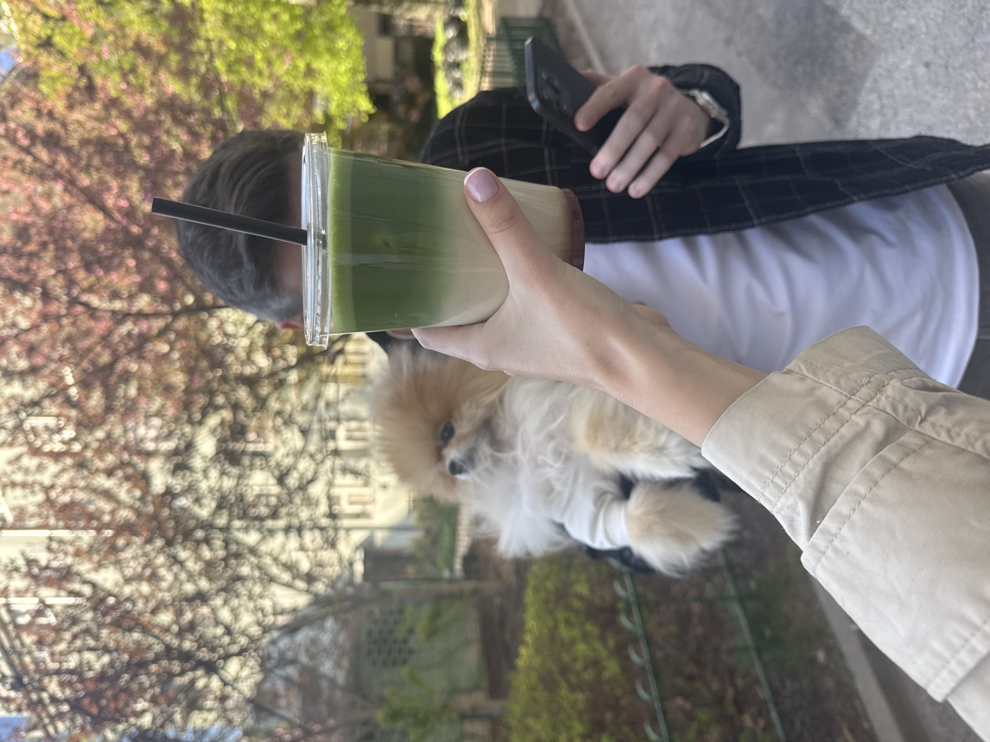 A medium shot shows two people and a small dog in what appears to be Warsaw, Poland. The scene is outdoors, with trees in bloom visible in the background, suggesting springtime. One person is partially visible, holding a smartphone and wearing a black and white plaid jacket over a white shirt. The second person is holding a plastic cup with a green and white beverage. Between them, someone is holding a small, fluffy Pomeranian dog, dressed in a white shirt. The environment appears to be a park or pedestrian area within a city.