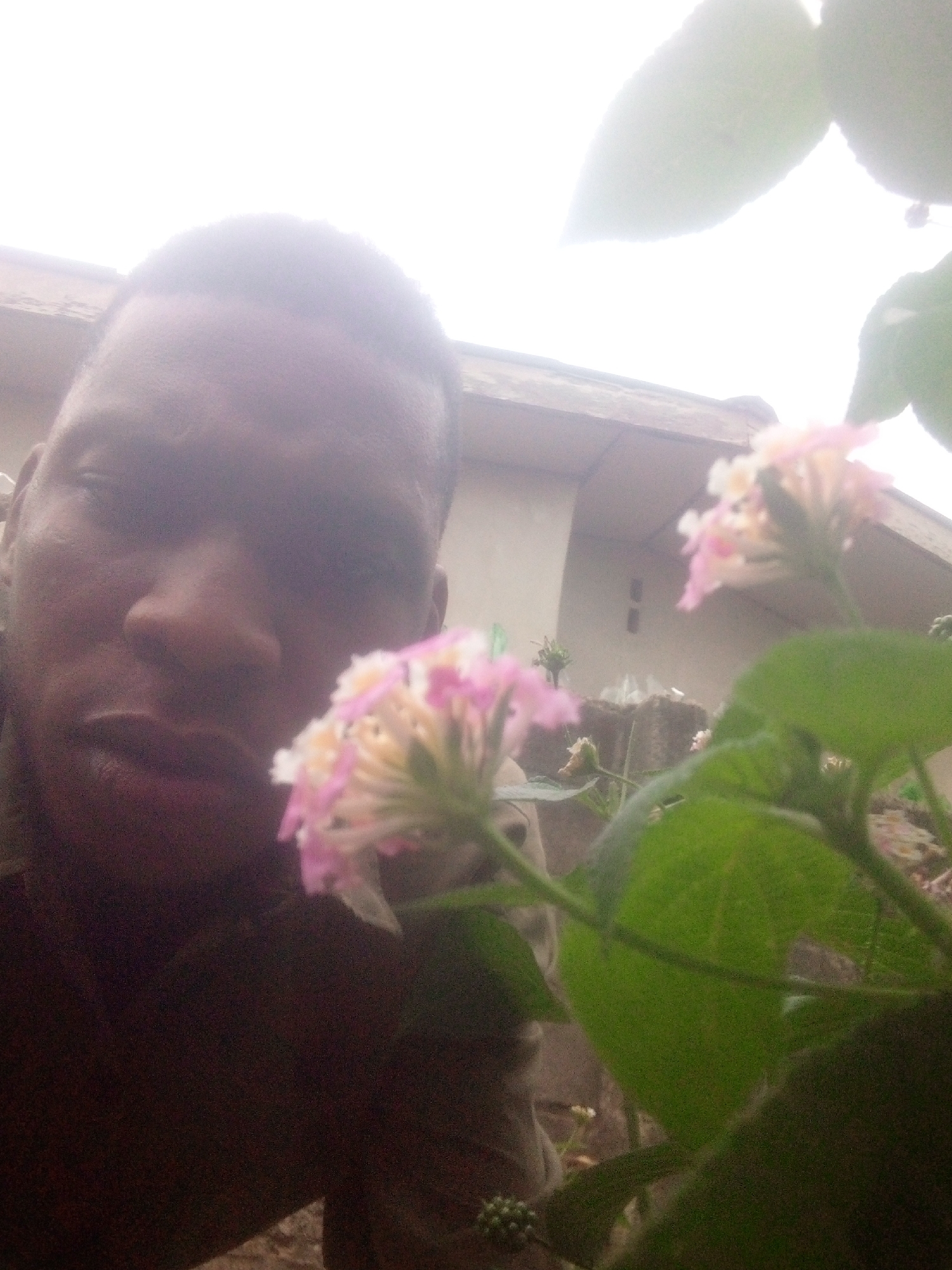 A medium shot, taken from a low angle, captures a person and flowers outdoors. The person is positioned on the left side of the frame with their head and upper body visible. They have dark skin and short hair. The focus on the person is soft, and the overall exposure seems low.
To the right of the person, a flower plant with green leaves and pink and white flowers is in sharp focus. Some immature flower buds are visible near the base of the plant. In the background, a building or house is partially visible. The location is city of Unknown, Unknown. The sky appears overcast.