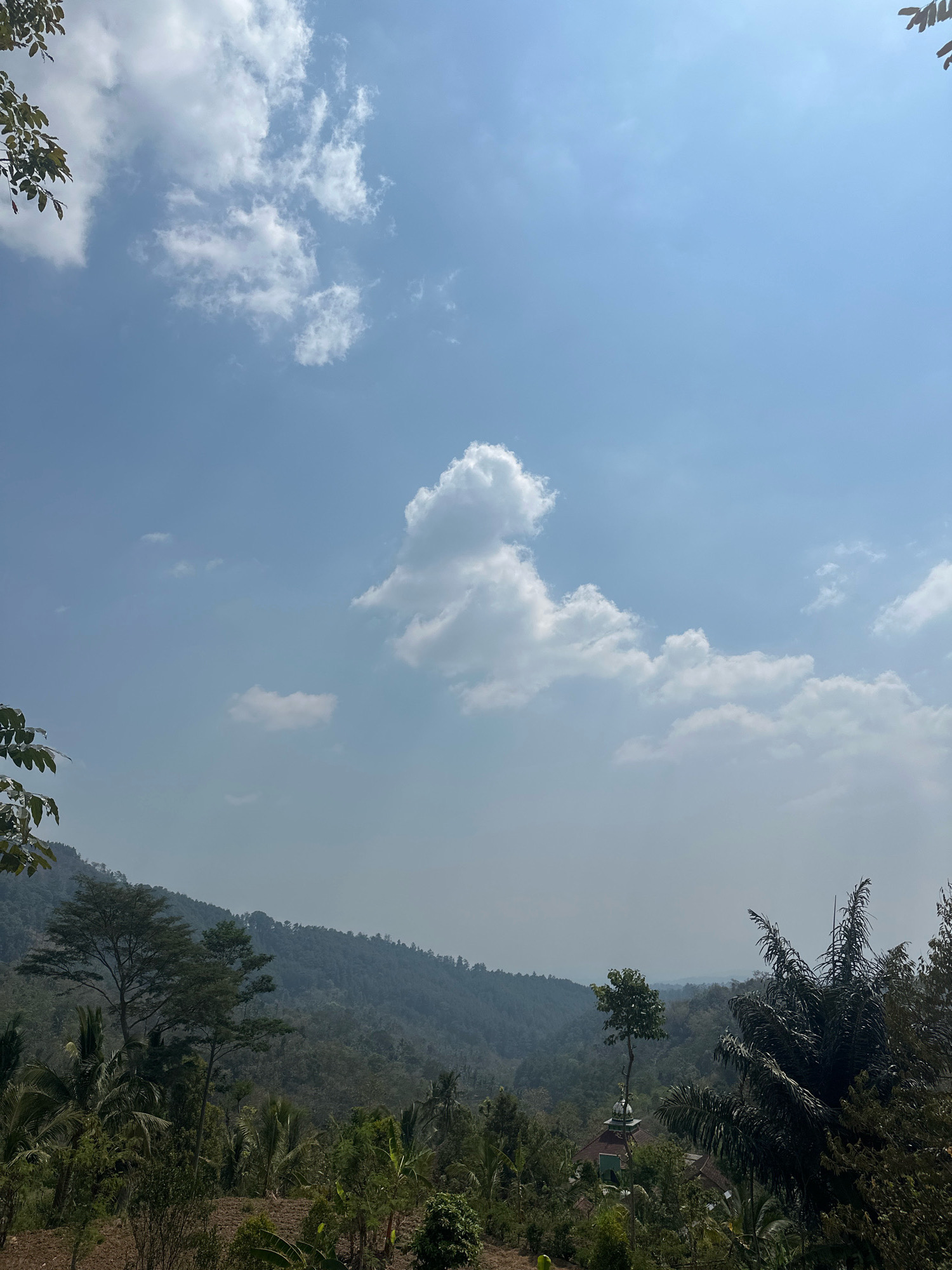 The image captures a serene natural landscape on a bright, sunny day in Talun, Indonesia. The sky is a vibrant blue, dotted with scattered white clouds, some of which are large and fluffy while others are wispy. In the foreground, lush green vegetation dominates, with various types of trees and palm fronds creating a dense canopy. Some of the trees are tall and slender, while others are more full-bodied. Hints of brown earth are visible in the lower portion of the frame, suggesting a cultivated or recently cleared area.
In the middle ground, rolling hills covered in dense green foliage stretch towards the horizon. The hills are layered, with a soft, hazy quality that adds depth to the scene. The vegetation on the hills appears to be a mix of trees and possibly agricultural crops, indicative of the rural environment of Talun.
Slightly to the right of the center of the image, nestled within the trees, a small building with a green roof and a white dome-like structure is visible. This building appears to be a mosque or a similar religious structure, a common sight in Indonesian villages. The presence of this building, along with the varied vegetation, suggests a rural or semi-rural setting within or on the outskirts of Talun.
In the far background, the landscape fades into a soft haze, with the outlines of distant hills or mountains barely discernible against the sky. The overall impression is one of natural beauty and tranquility, characteristic of the Indonesian countryside. There are no people visible in the image. The scene is static, capturing a moment of natural stillness.