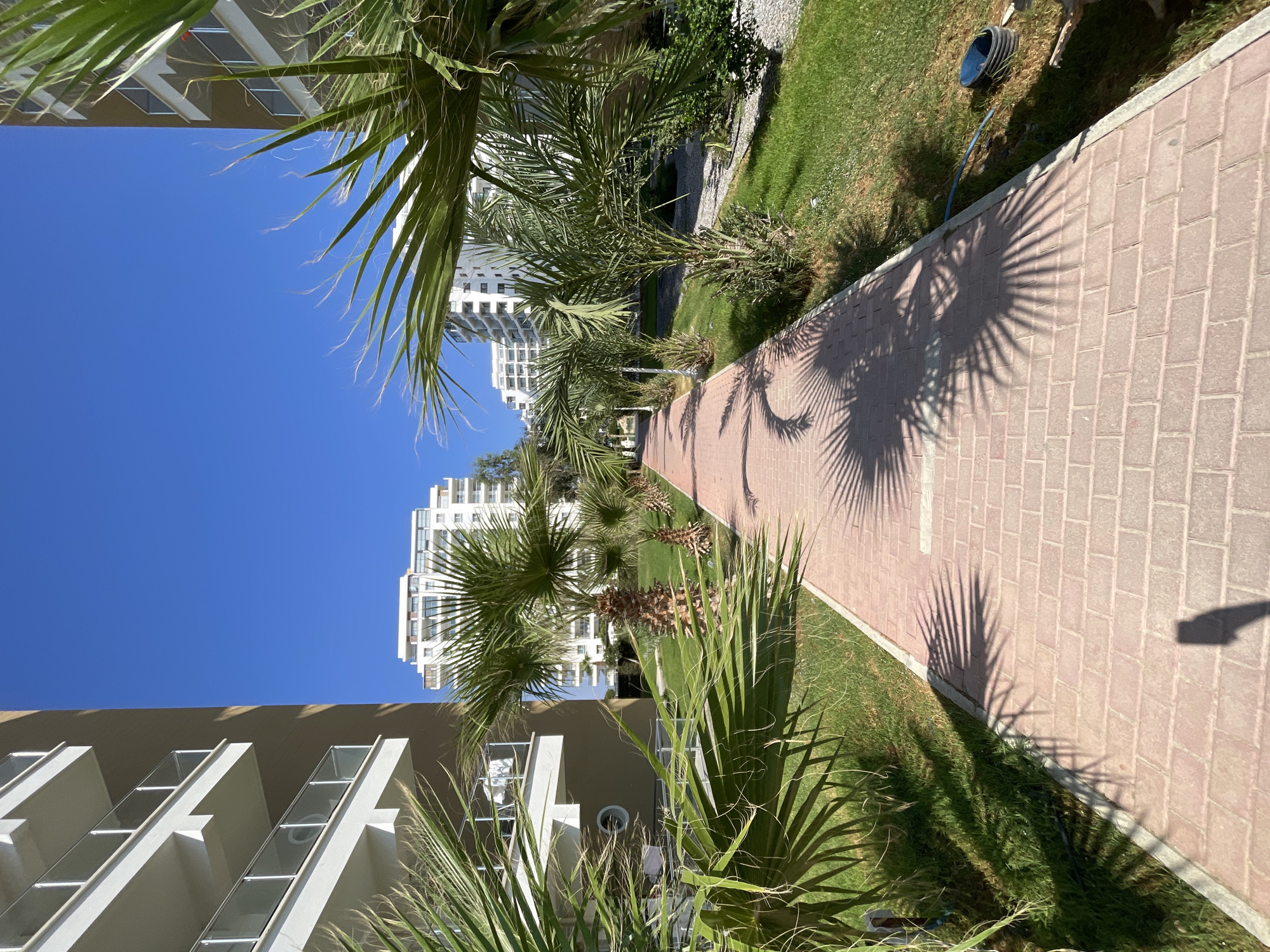 A paved pathway, constructed from reddish-brown bricks, extends through a manicured lawn area lined with palm trees. Two multi-story buildings, with white balconies and modern architecture, flank the pathway on either side. The sky above is a clear, vibrant blue. The scene appears to be in a residential or resort complex.