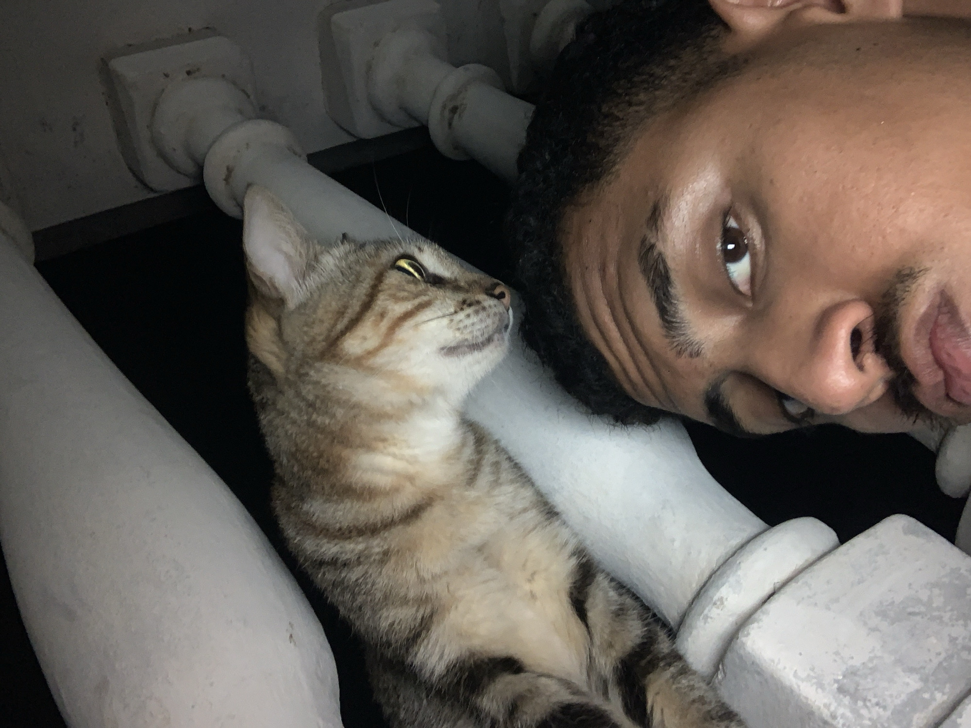 A selfie shows a person's face and a cat positioned in the foreground, with a dark background and white pipes. The person, a male with dark curly hair and brown skin, is looking directly at the camera with his right eye visible. His mouth is slightly open. Above and to the left of the person's face, a tabby cat with striped fur is resting on a white pipe. The cat is looking towards the right side of the frame with its head tilted. The environment appears to be outdoors or in a space with exposed pipes, potentially in Santa Ana, Venezuela, given the prompt's context.