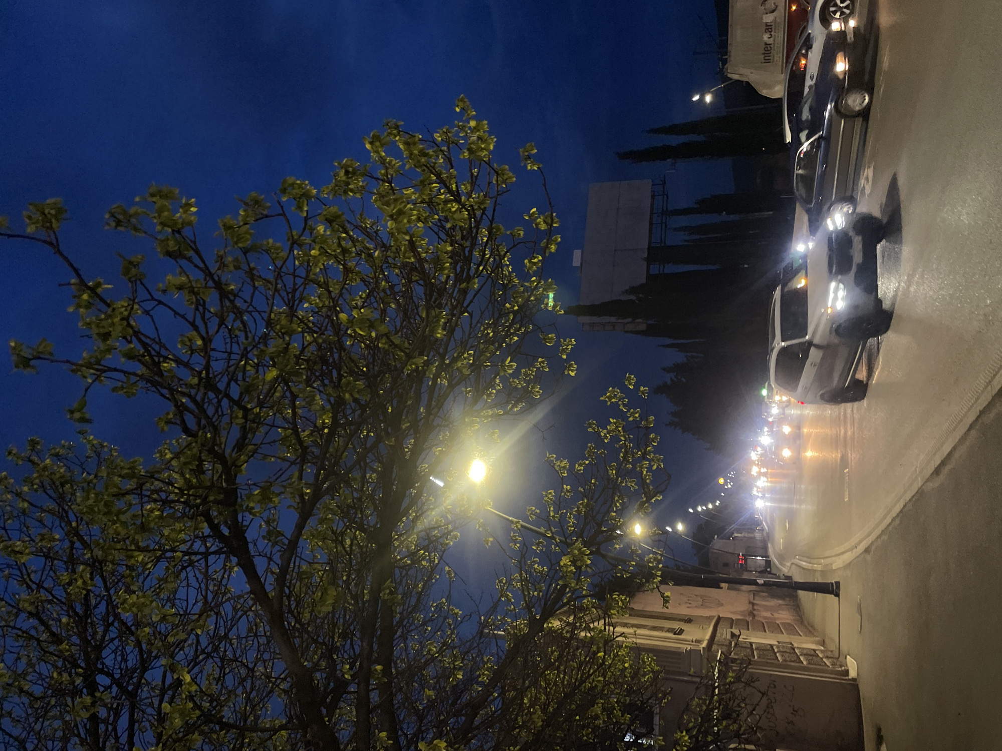 The image depicts a street scene in Tbilisi, Georgia, at night. A large tree with sparse green foliage dominates the left foreground, illuminated by a street lamp. In the background, a row of parked cars lines the right side of the street, their headlights creating bright spots. More trees and a large billboard are visible further back. The sky is a dark blue. Buildings are visible on the left side of the street.