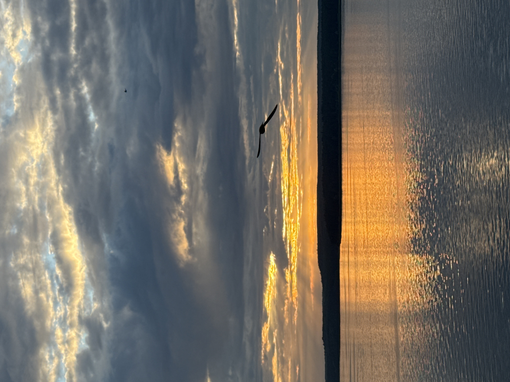 A silhouette of a bird in flight is captured against a dramatic sunset sky over a body of water. The sky is filled with a mix of dark, moody clouds and bright, fiery streaks of orange and yellow where the sun is breaking through. The water reflects the vibrant colors of the sunset, creating a shimmering, golden surface. A dark, forested shoreline forms the horizon line. The scene is likely Votkinsk, Russia, known for its picturesque natural landscapes.