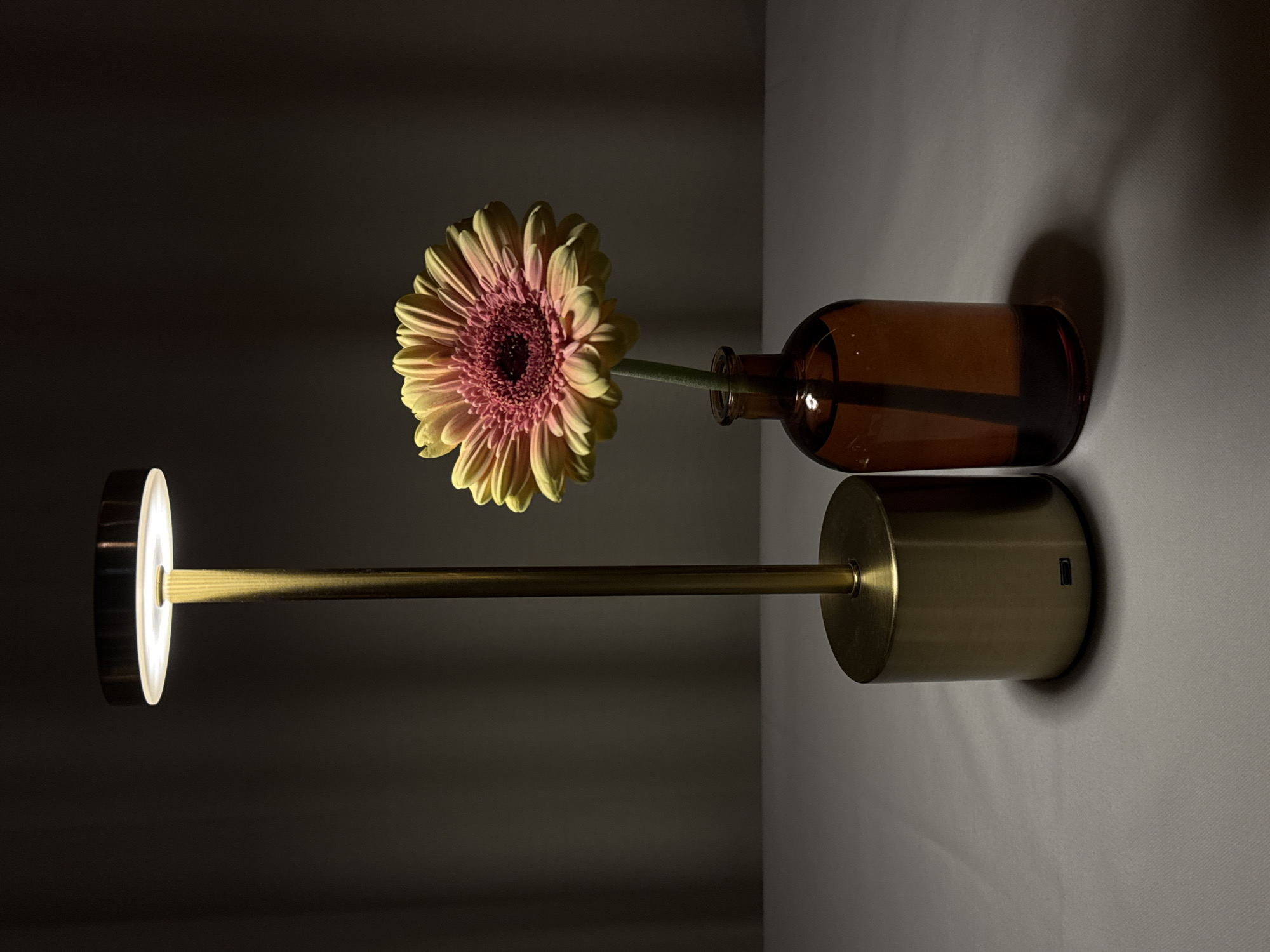 A still life composition features a single gerbera daisy, a dark brown glass bottle, and a modern brass lamp, arranged horizontally on a light surface against a dark background. The gerbera daisy, positioned towards the center-left, displays vibrant yellow-pink petals fading to a deep pink center. Its stem extends into the dark brown glass bottle, which lies horizontally to the right of the flower.
A contemporary lamp anchors the left side of the arrangement. It consists of a cylindrical brass base, from which a long, slender brass stem extends horizontally towards the flower. The stem culminates in a flat, circular light source that emits a soft, focused white glow, illuminating the flower and creating a high-contrast scene. The light catches the subtle textures of the flower petals and casts gentle shadows on the light-colored surface beneath the objects.
The overall lighting is dramatic and moody, suggesting an indoor setting during evening or night, or a room specifically darkened to highlight the composition. The background is a uniform dark grey-brown, enhancing the focus on the illuminated subjects. No human figures are present, and no discernible text is visible on any object. The scene conveys a sense of calm elegance and artistic arrangement. While the image is displayed vertically, the objects appear to be laid out on a horizontal plane. The location context provided is Yerevan, Armenia, though no specific geographical cues are visible within the image.