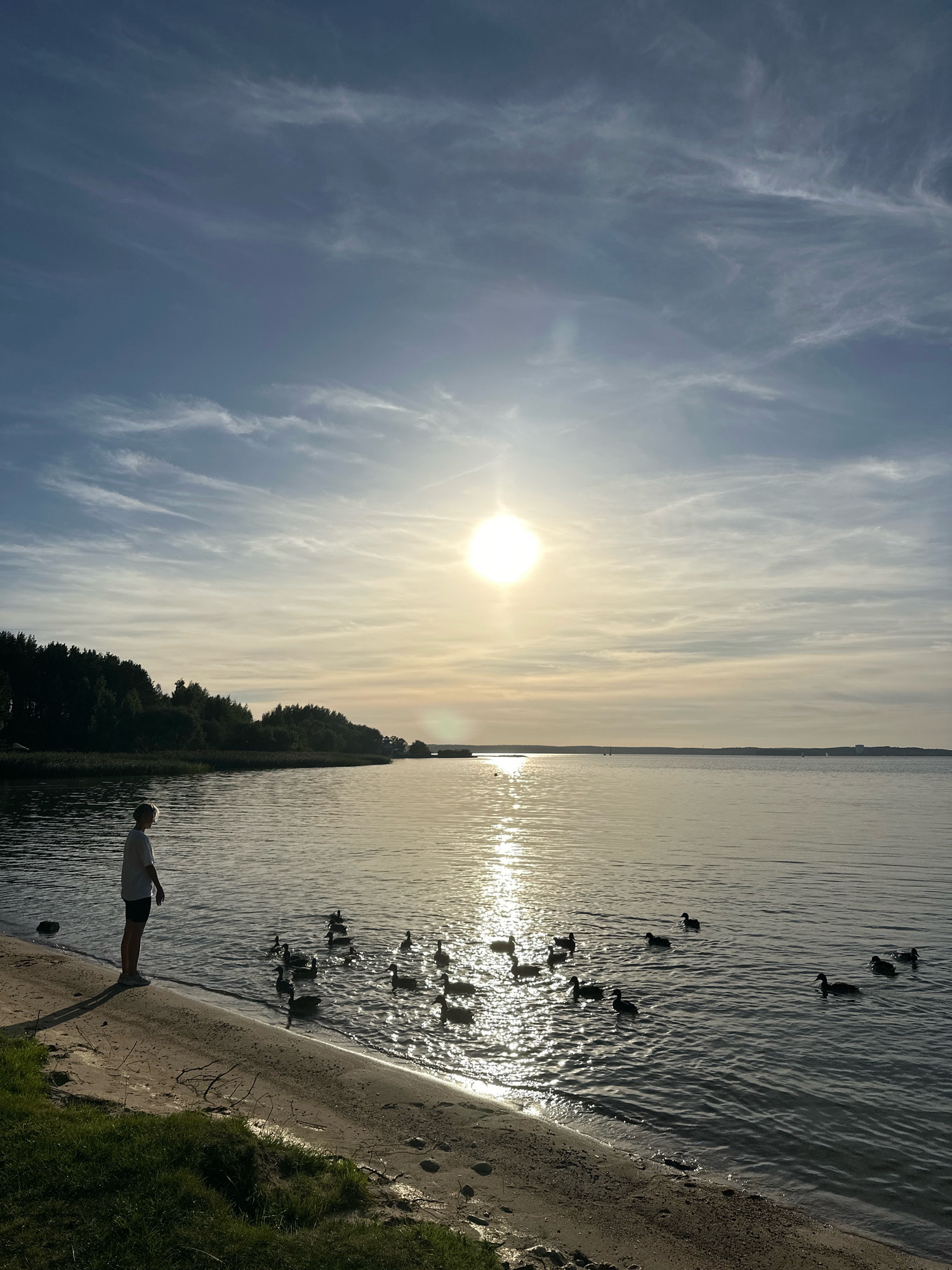 In the Ждановіцкі сельскі Савет, Belarus, a young person stands on the sandy shore of a calm body of water, facing the sun which is low in the sky, creating a bright reflection on the water's surface. The person, silhouetted against the light, wears a white t-shirt and dark shorts. A flock of ducks swims in the water near the shore. The background features a dense line of trees along the opposite bank of the water, and a hazy sky with wispy clouds. The overall scene is one of natural tranquility.