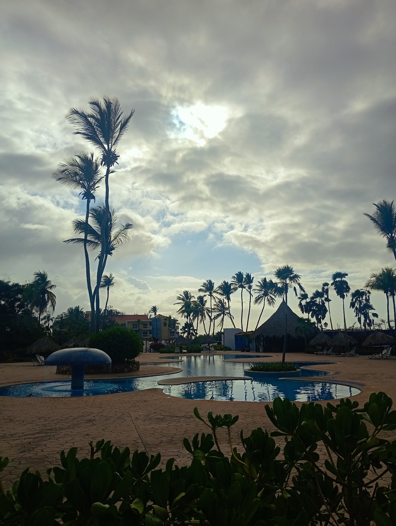 This vertical photograph captures a tranquil tropical resort scene, identified as Playa El Agua, Venezuela, under a dynamic, cloudy sky. The upper half of the image is dominated by heavy, grey clouds, through which patches of bright sunlight break, creating a diffused yet luminous backdrop.
Numerous tall palm trees are prominent throughout the landscape, many appearing as dark silhouettes against the bright sky, particularly in the mid-ground and on the left. In the center, an irregularly shaped swimming pool with clear, blue water reflects the overcast sky. A unique blue, mushroom-shaped fountain or water feature stands within a circular section of the pool, adding a focal point. The pool area is paved with light brown, textured stones.
Dark green, leafy vegetation occupies the immediate foreground, and additional bushes are visible around the pool. In the background, partially obscured by the extensive foliage and palm trees, are multi-story resort buildings featuring light-colored walls (yellow, orange, blue, and white) and red roofs. Several thatched huts and a few white lounge chairs are also scattered around the pool and deeper in the background, enhancing the resort atmosphere.
No people are visible, contributing to a sense of peace and quiet. The lighting conditions, with the sun breaking through clouds and creating silhouettes, suggest either early morning or late afternoon. No discernible text is present in the image.