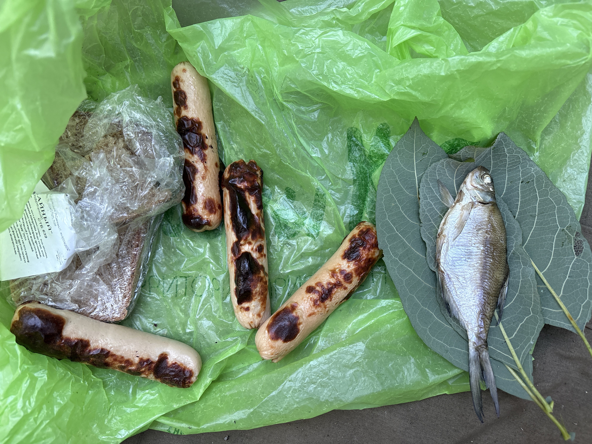 This image depicts a casual outdoor scene, likely a picnic or a simple meal preparation, on the ground in the vicinity of Трасцінскі сельскі Савет, Belarus. The primary elements are food items laid out on a crumpled, bright green plastic bag and some large leaves.
Central to the image are four grilled sausages, showing distinct char marks from cooking. These sausages are of a light beige color with dark brown to black portions where they have been exposed to heat. Beside them, partially obscured by a plastic wrapper, is a slice of bread, appearing to be rye or dark whole wheat. A piece of paper with Cyrillic writing is also visible near the bread, suggesting packaging or labeling.
In the lower portion of the frame, a dried fish lies on top of two large, veined green leaves. The fish is silver-toned and appears to be small, likely intended as a snack or accompaniment. Two thin, dry twigs or stems are also present, resting near the fish and leaves. The background is a dark, textured surface, possibly dirt or pavement, indicative of an outdoor setting. The overall impression is one of a rustic, informal meal, possibly in a park or a natural area within the specified location. There are no people or animals visibly present in the image.