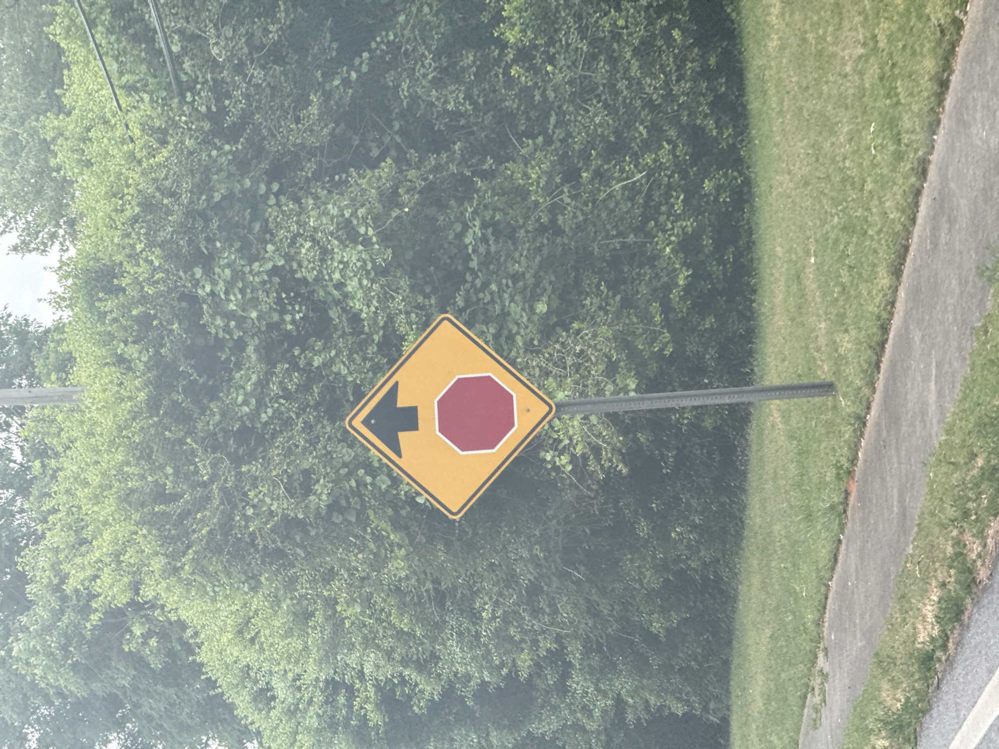 The image shows a yellow diamond-shaped traffic sign with a left-pointing arrow and a red octagon shape on it. The sign is mounted on a gray metal pole. Lush green foliage fills the background. To the right, there is a strip of grass and a gray concrete sidewalk. The image was taken in Mountain Park, United States of America.