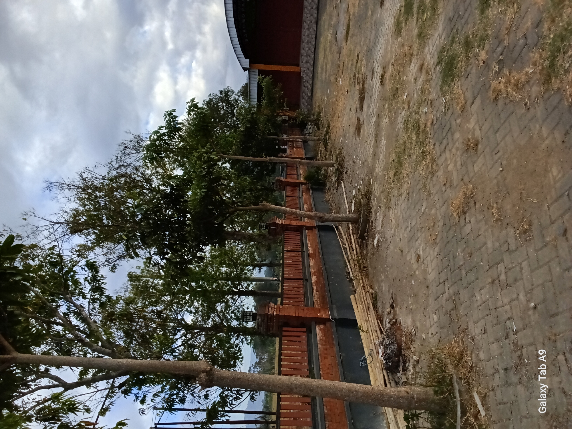 The image shows an outdoor paved area with a brick fence and a building in the background. The scene appears to be in Bendorejo, Indonesia.

In the foreground, the ground is paved with interlocking grey bricks, with patches of dry grass and dirt interspersed. A large tree with a textured brown trunk stands on the left, with its branches and leaves extending upwards. To the right of this tree, several smaller trees with slender trunks and green foliage are planted in a line.

A brick fence runs horizontally across the middle of the image. The fence is constructed with reddish-brown bricks and has black accents. It is topped with a darker grey border and has decorative lampposts on brick pillars at intervals. A pile of bamboo poles and some debris, including burnt material, are visible in front of the fence and near the base of the leftmost tree.

In the background, behind the fence, is a large building with a curved, dark roof. The walls of the building are a deep reddish-brown color, with some lighter textured material at the base. The sky above is overcast with grey clouds. The overall impression is a somewhat unkempt but functional outdoor space, possibly associated with a venue or public area.